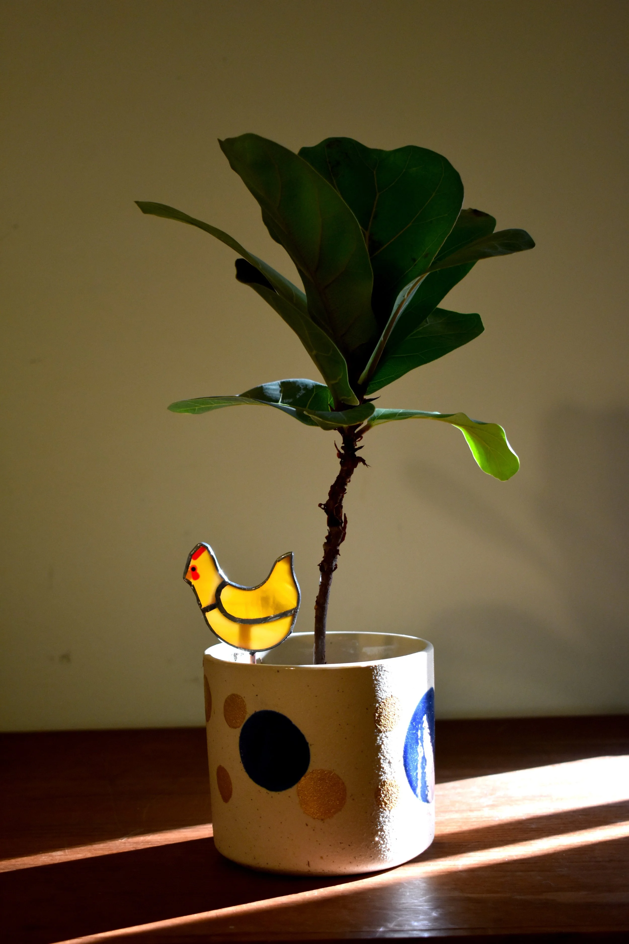 Chicken Plant Buddy