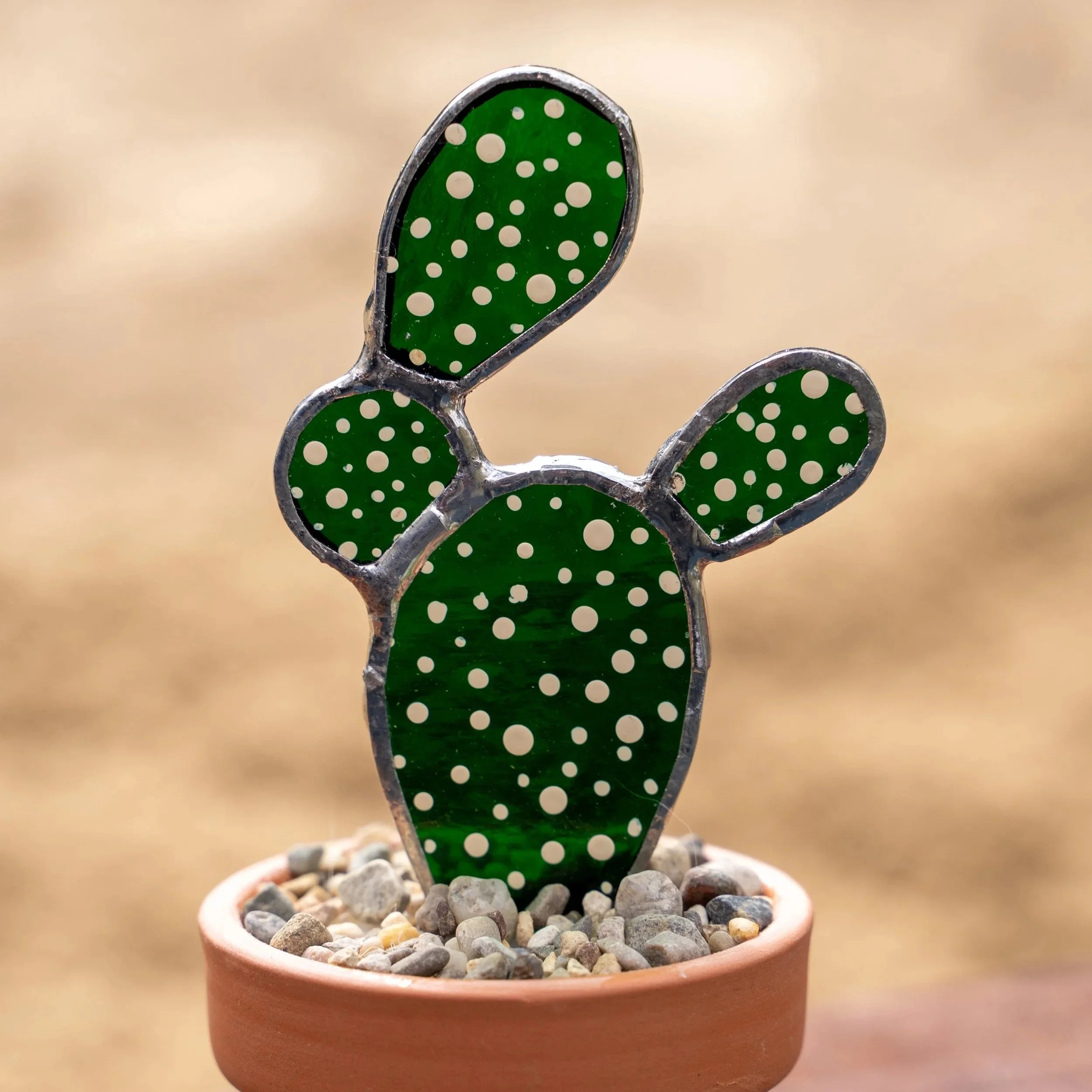 Prickly Pear Cactus