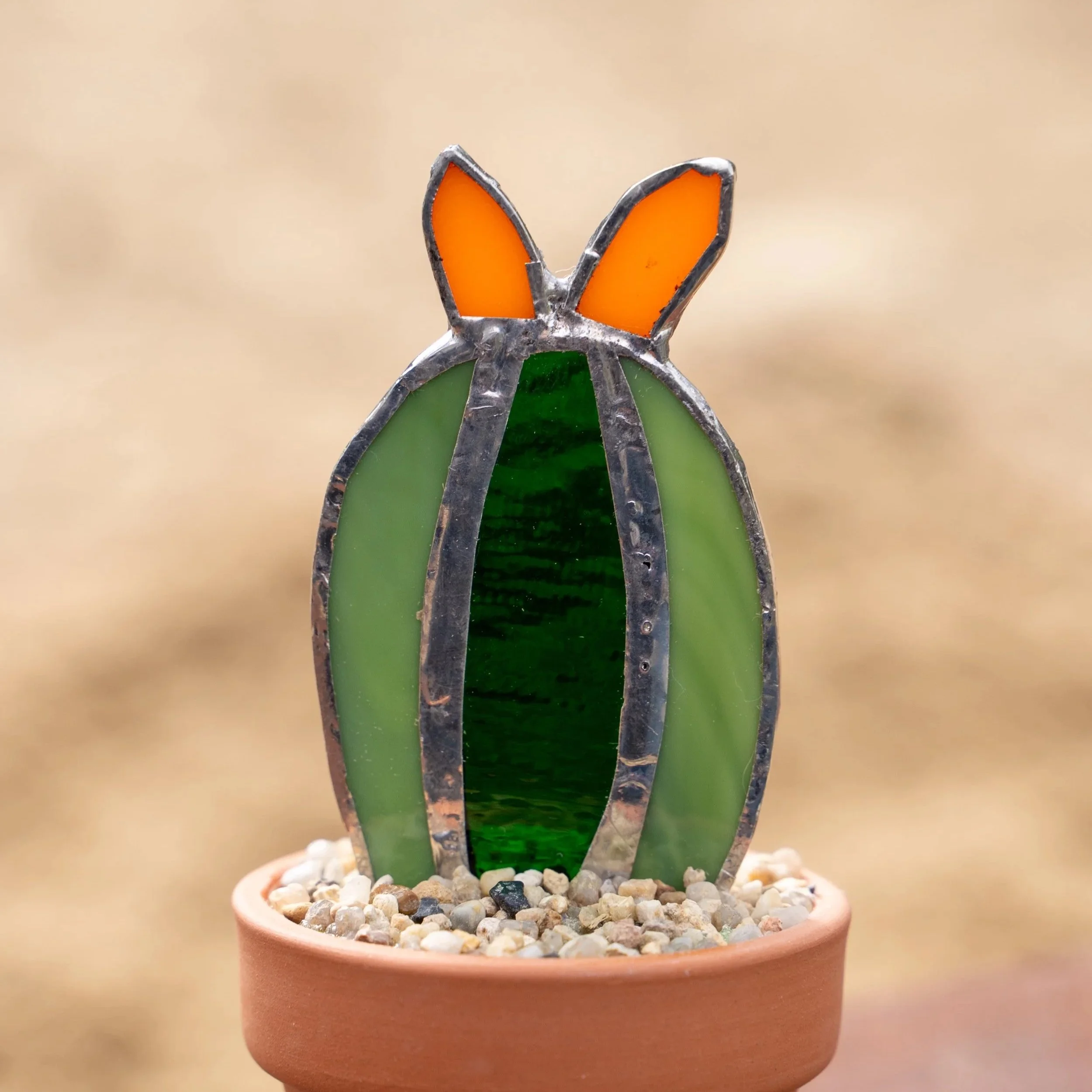 Hedgehog Cactus