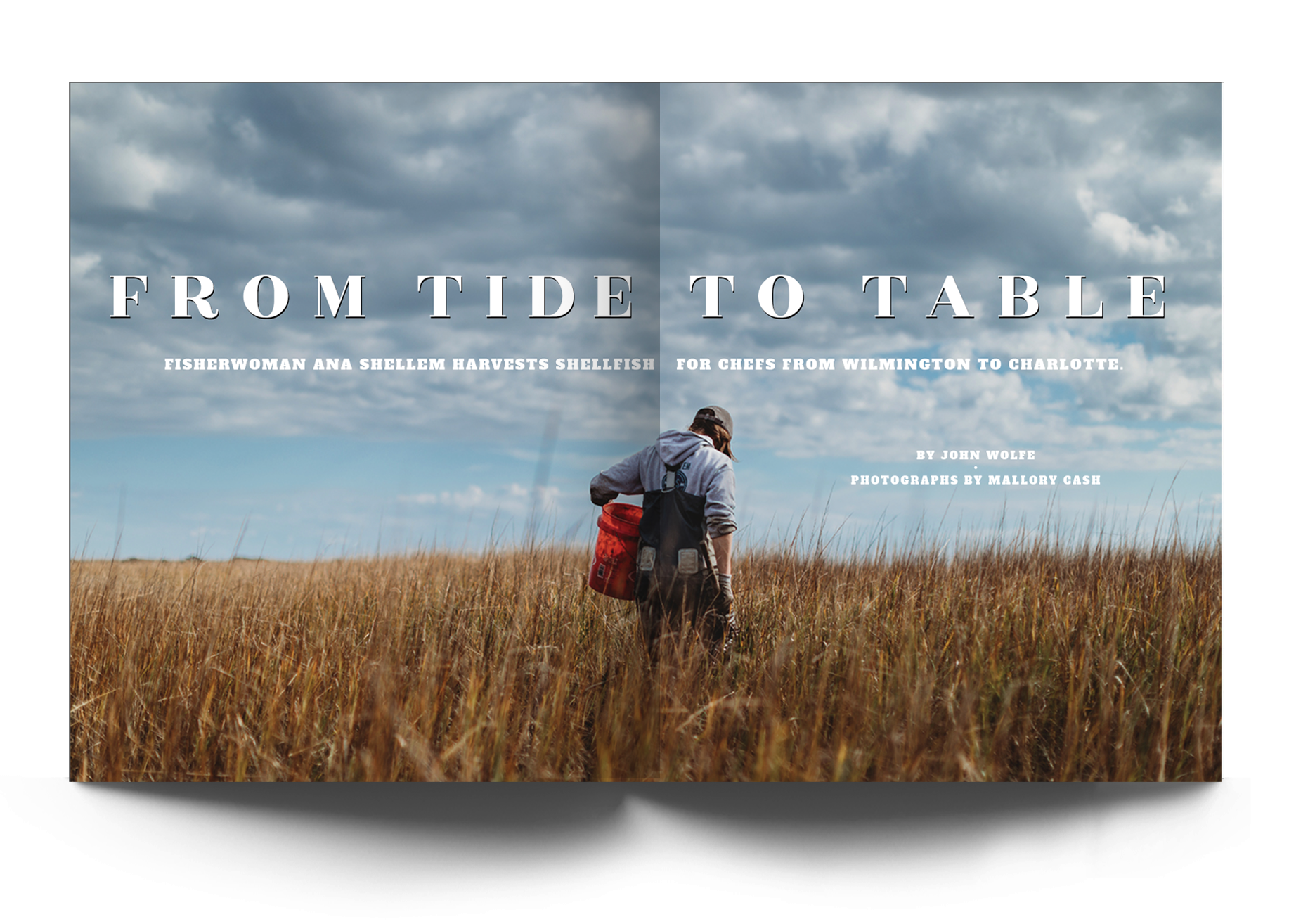 TideTable.png