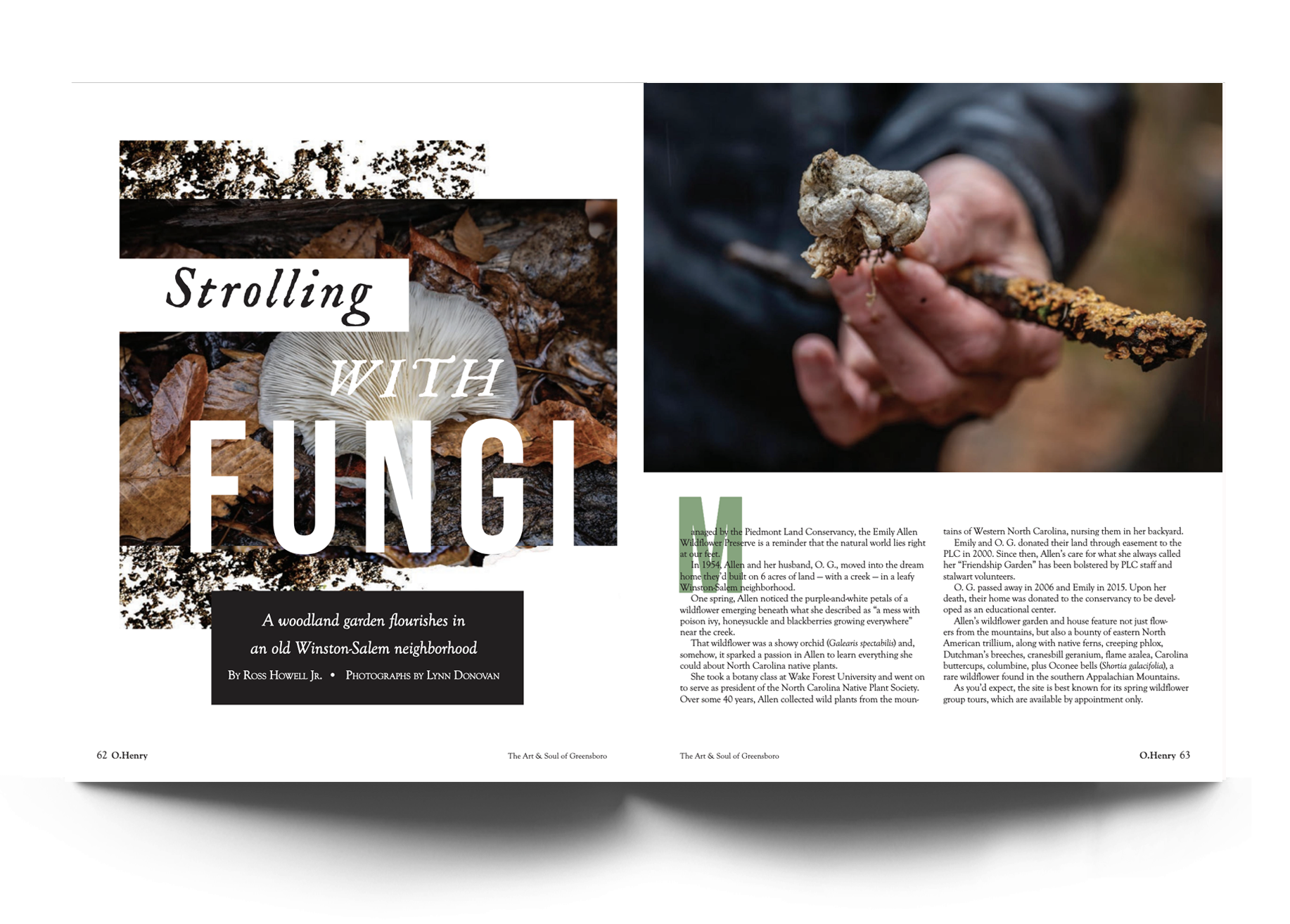 Fungi.png