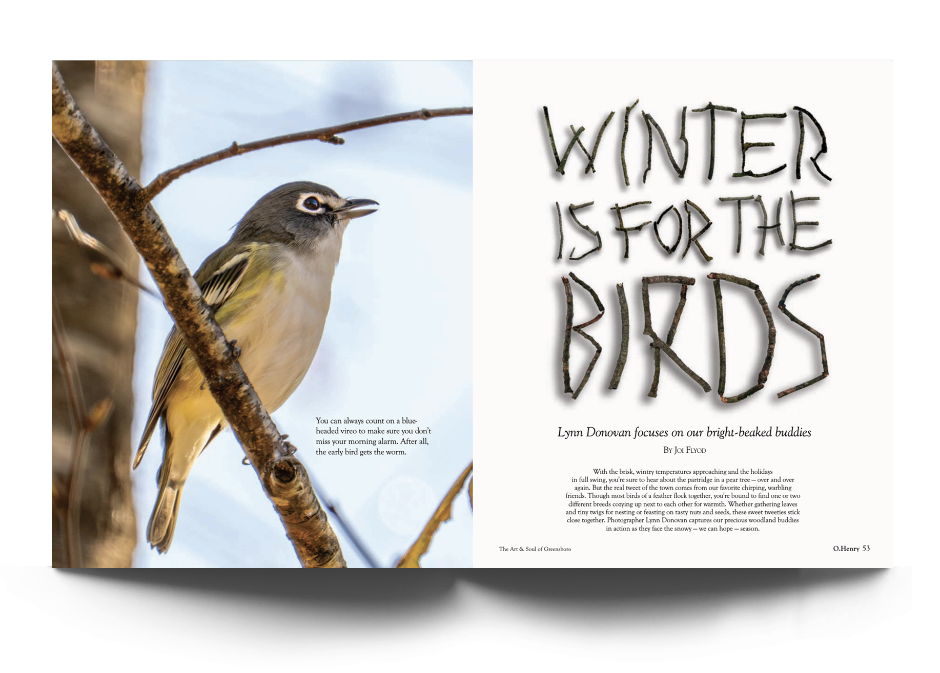 Birds.png