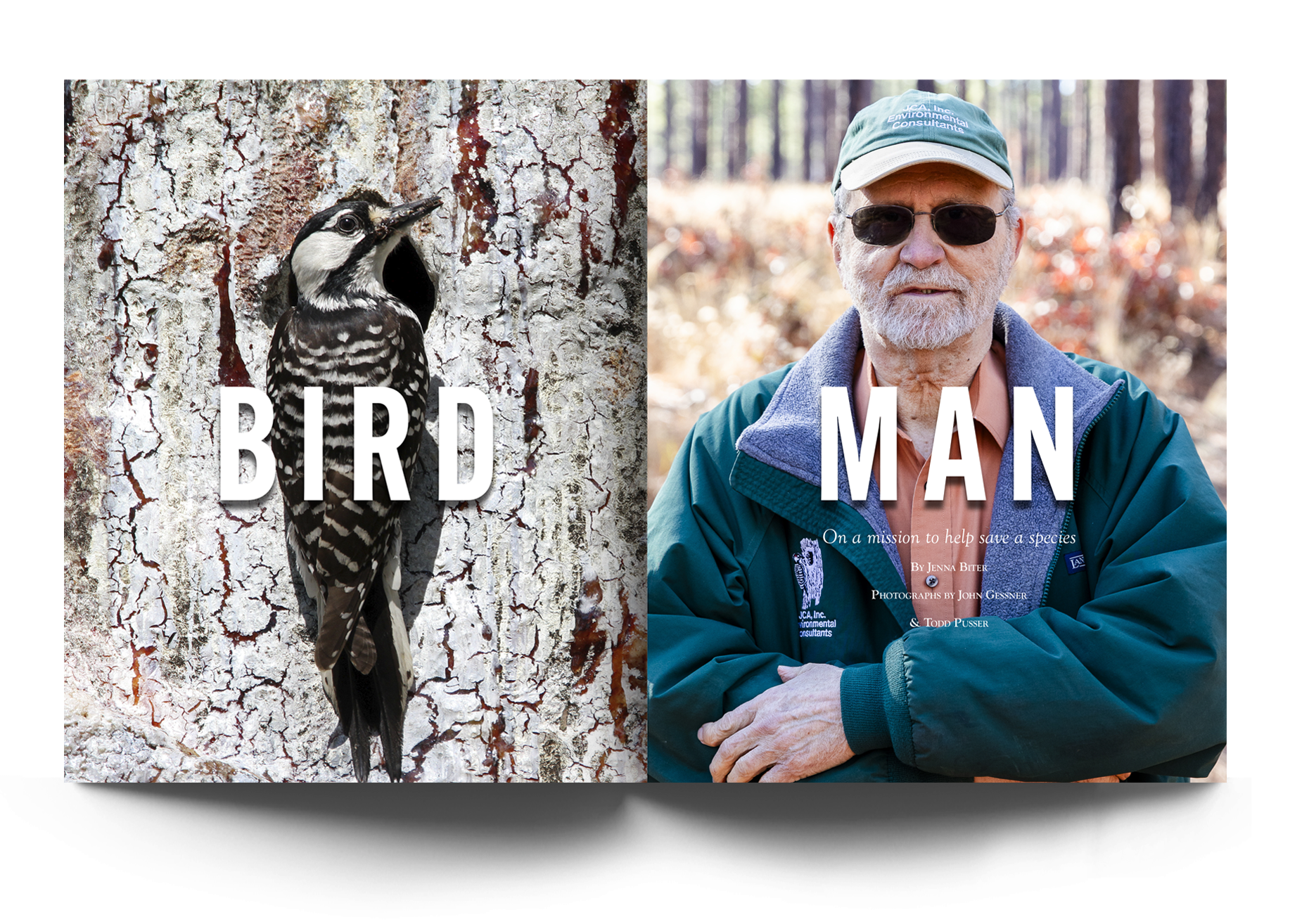 Bird Man.png