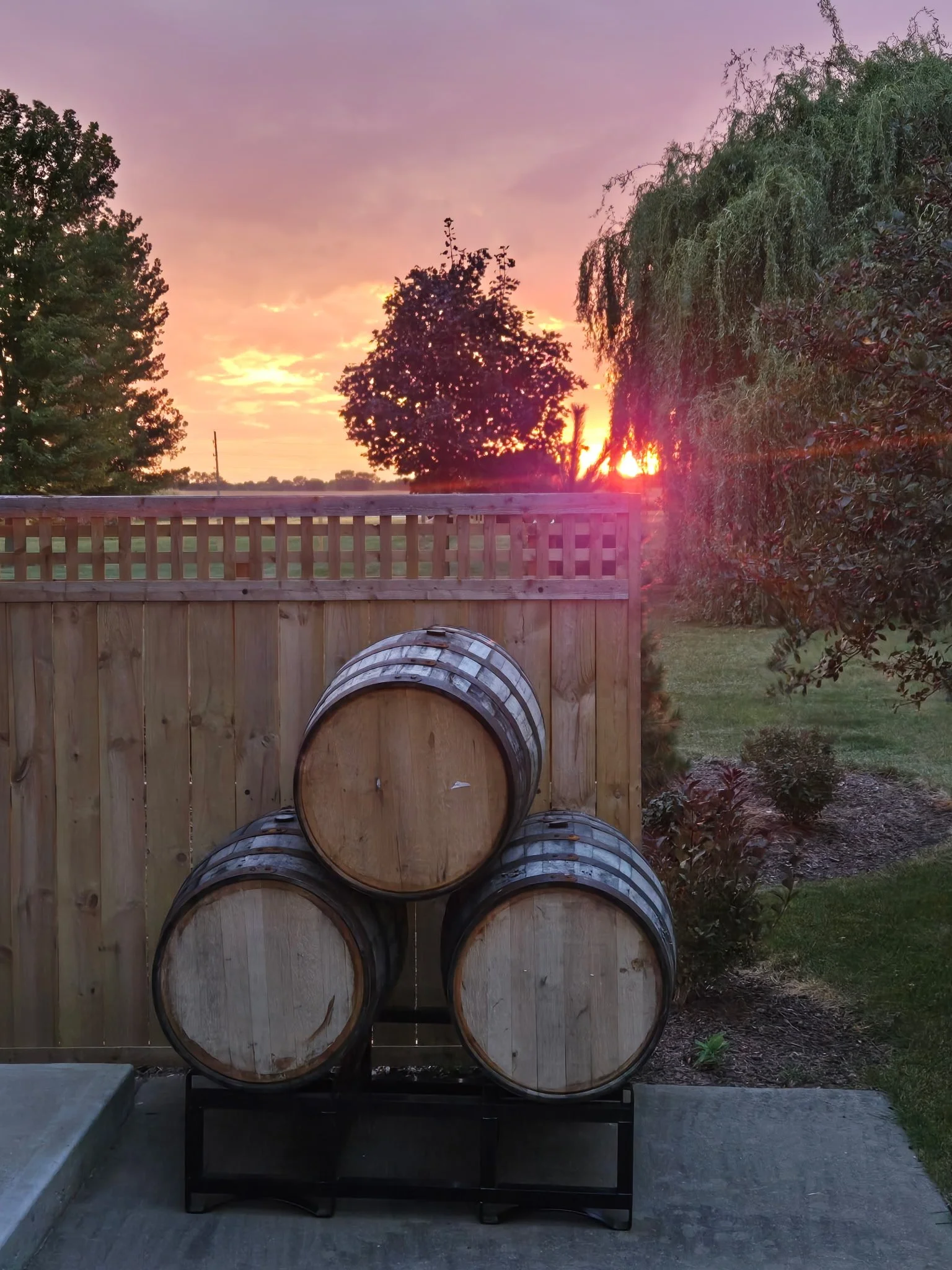 Three wooden barrels stacked on a black metal stand in a backyard with a wooden fence and trees at sunset. Gilted Edge Winery Barrels