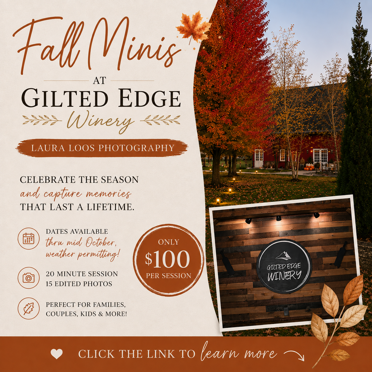 Fall Mini's on the Farm- Partnering with Laura Loos Photography