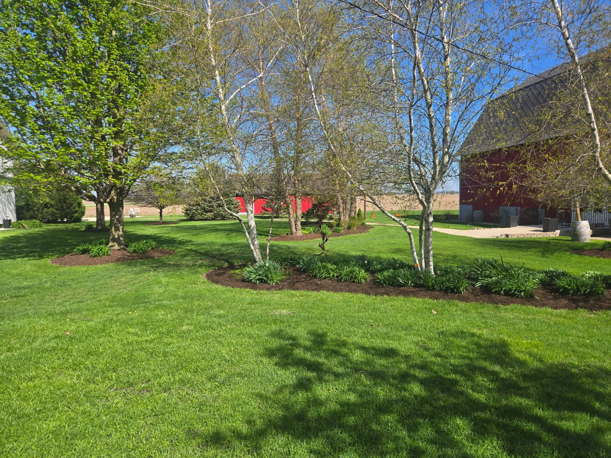 A landscaped rural yard with green grass, trees, a barn, and a clear blue sky.