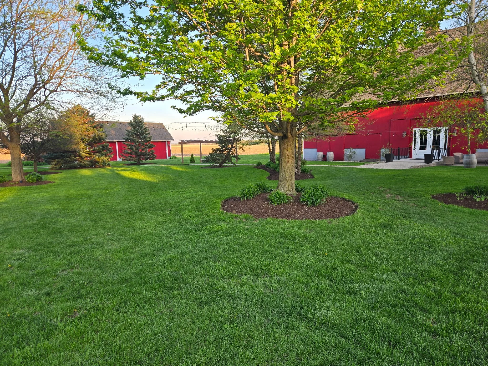 A green grassy backyard with several trees, a red barn, and a shed in the background. There are string lights hanging across the yard and outdoor furniture near the barn.