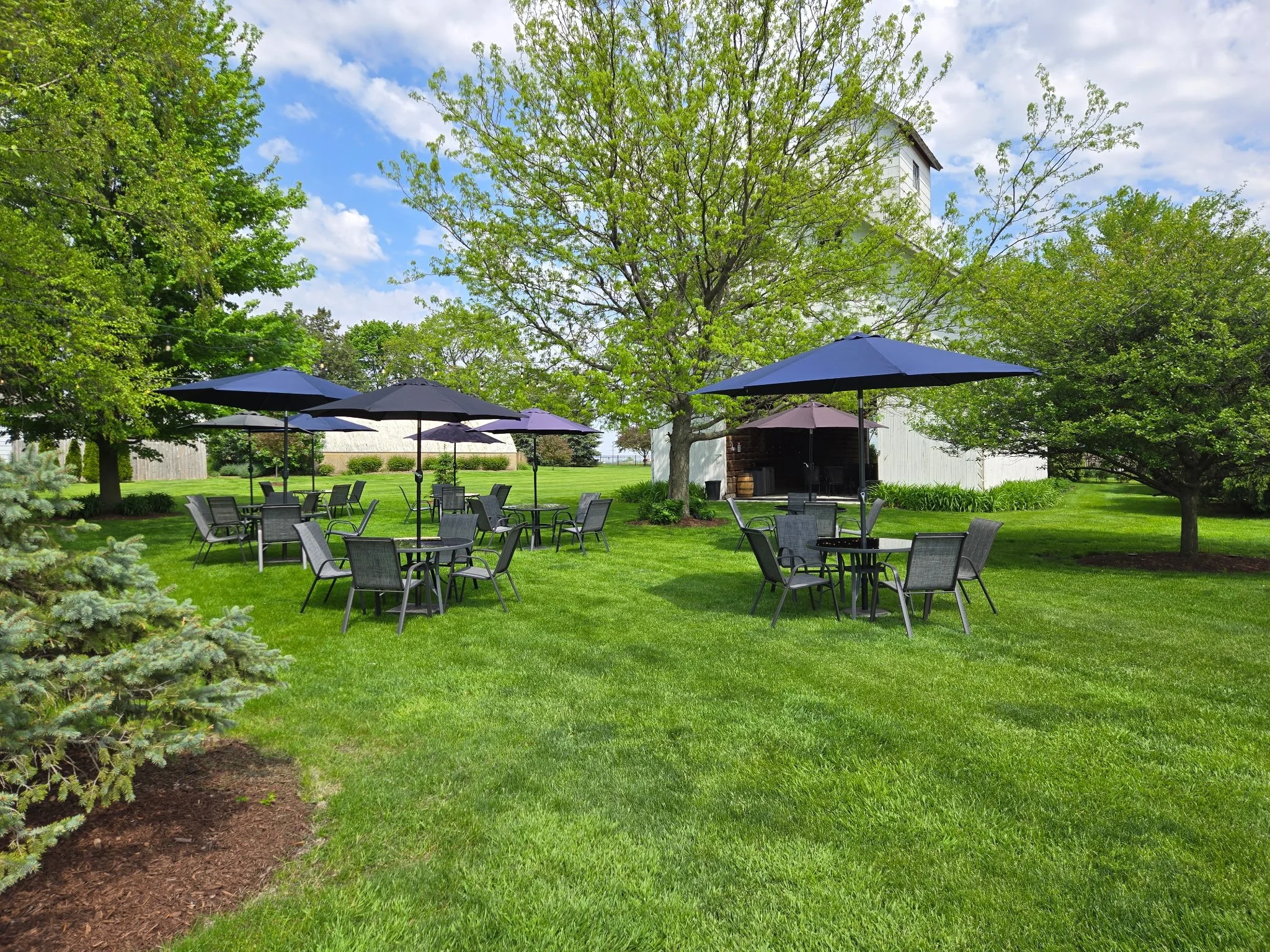 Outdoor patio with tables, chairs, and umbrellas surrounded by green grass and trees under a partly cloudy sky. Outdoor Area for seating for music and tastings at Gilted Edge Winery