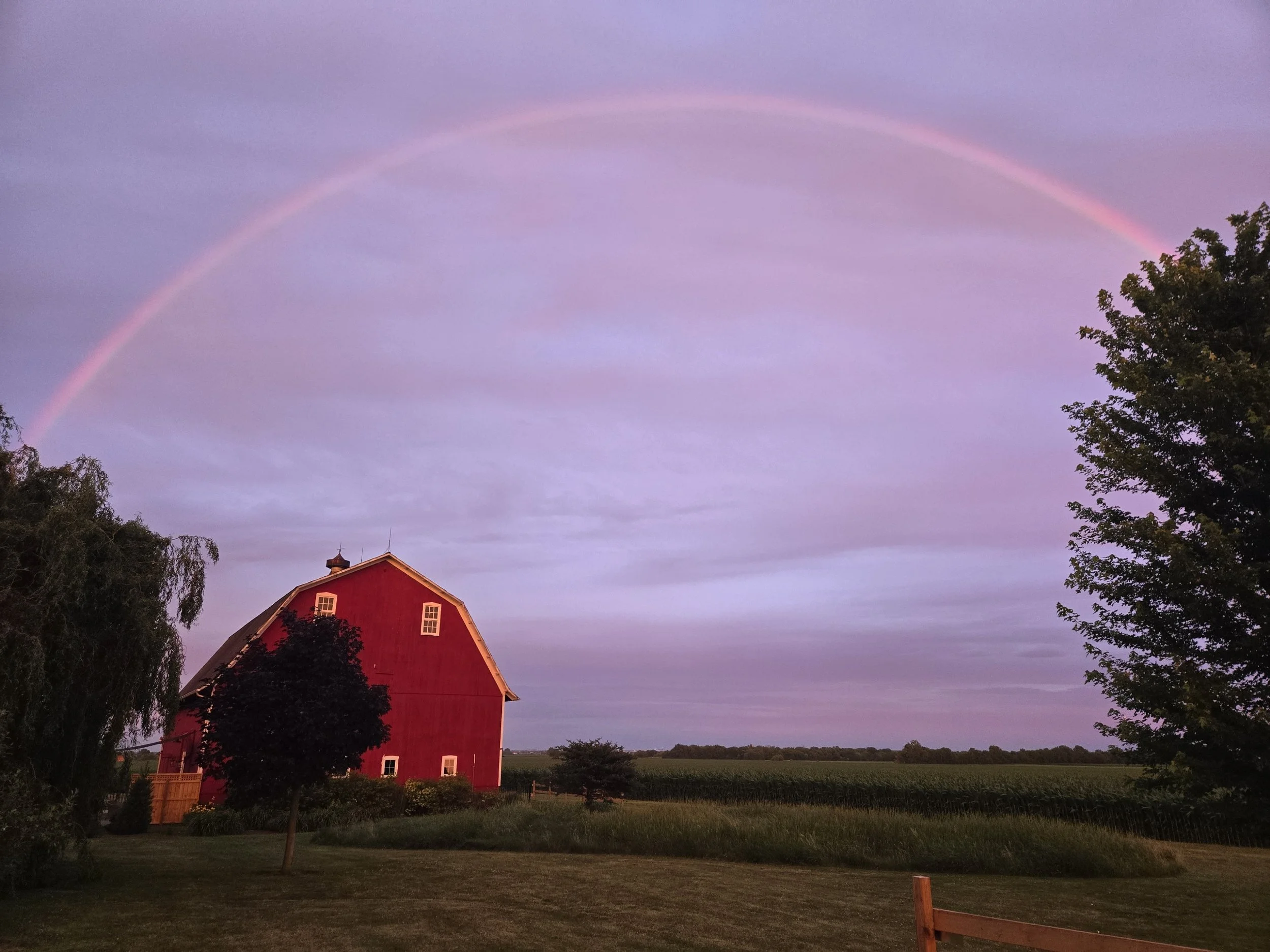 A purple sky with a faint rainbow arcs over a red barn surrounded by trees and a field. Big Red Barn Tasting Room for Gilted Edge Winery