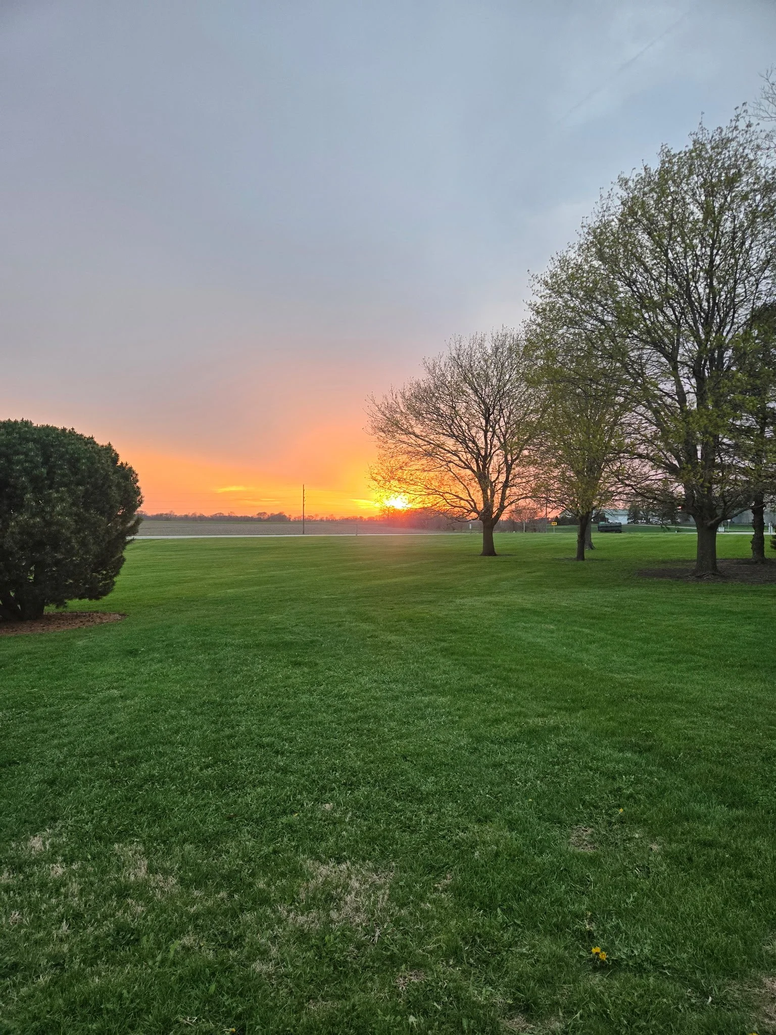A scenic view of a park at sunset with green grassy fields, scattered trees with some leaves, and a colorful sky with shades of orange, pink, and blue.
