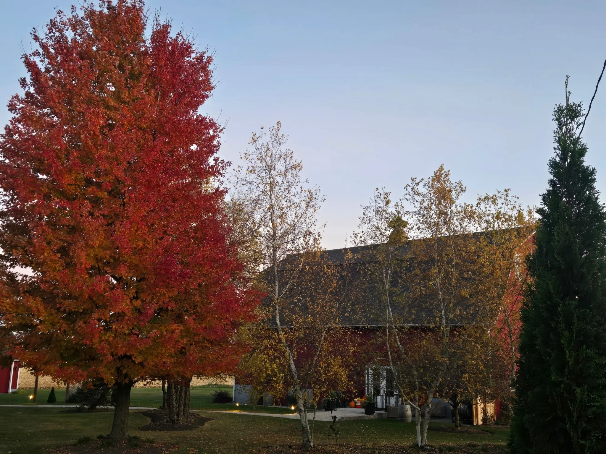 Downtown neighborhood scene during fall with colorful trees displaying red, yellow, and green leaves, blue sky, and houses in the background.