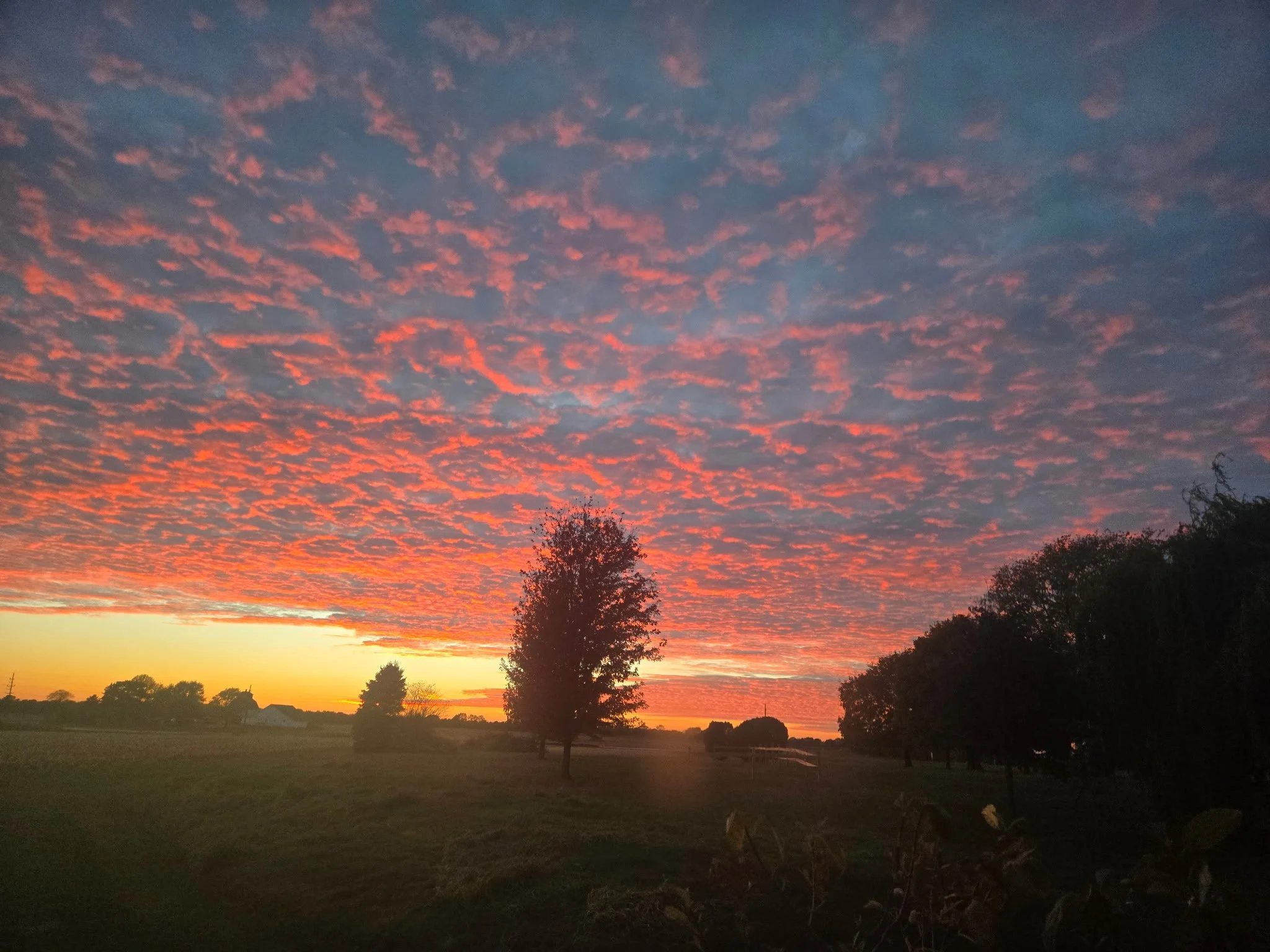 A scenic sunset sky with pink and orange clouds above trees and a field.