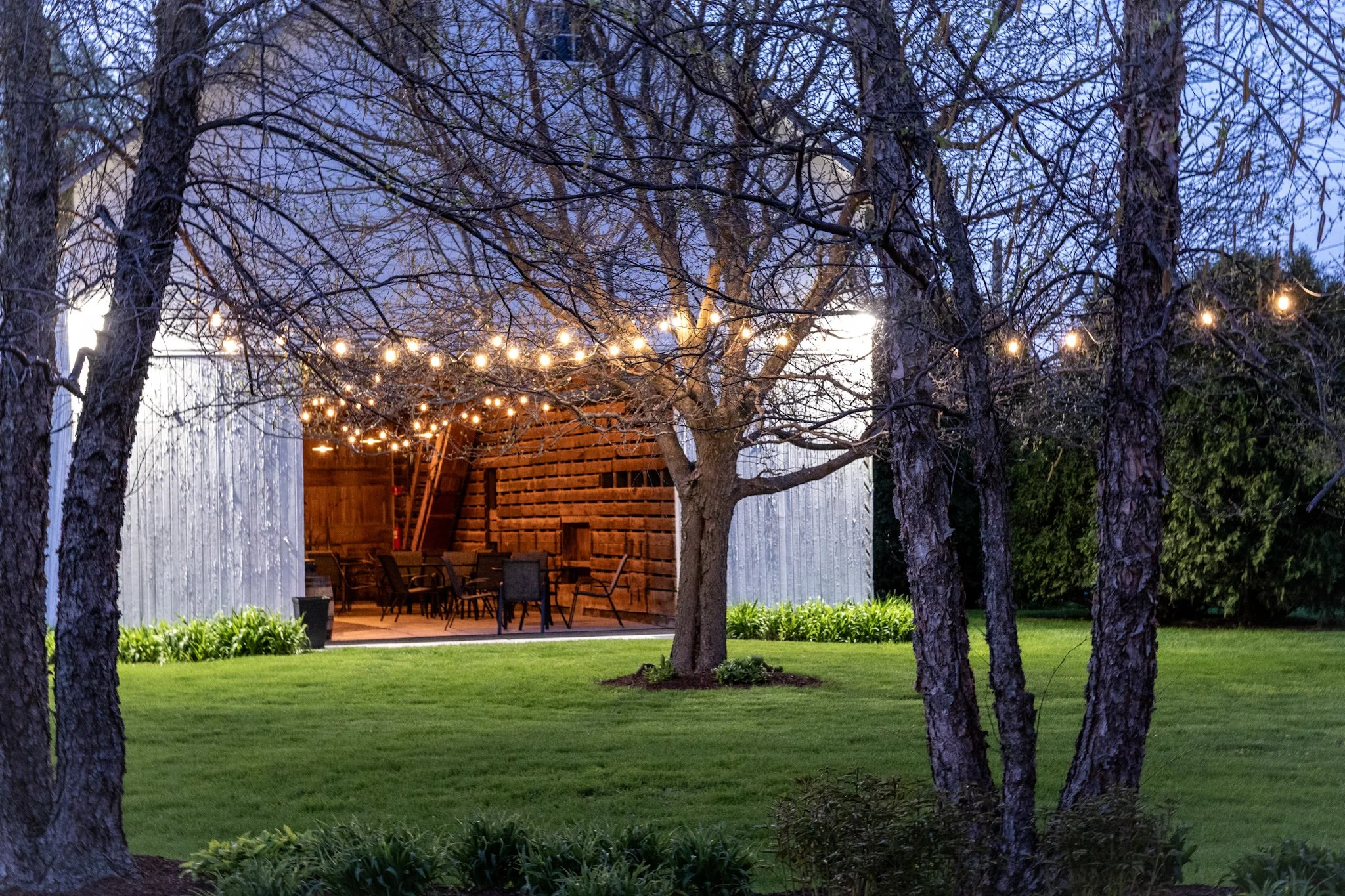 Backyard scene at dusk with trees, string lights, and a covered patio with chairs and a table. Outdoor space and rental option