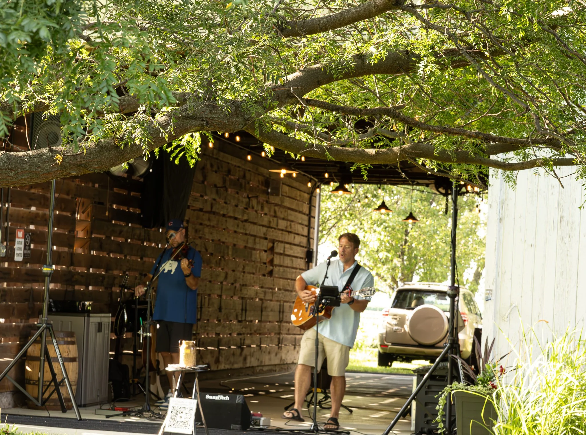 Two musicians playing instruments outdoors, one with a guitar and microphone, under a large tree with string lights, surrounded by a wooden fence and parked cars.