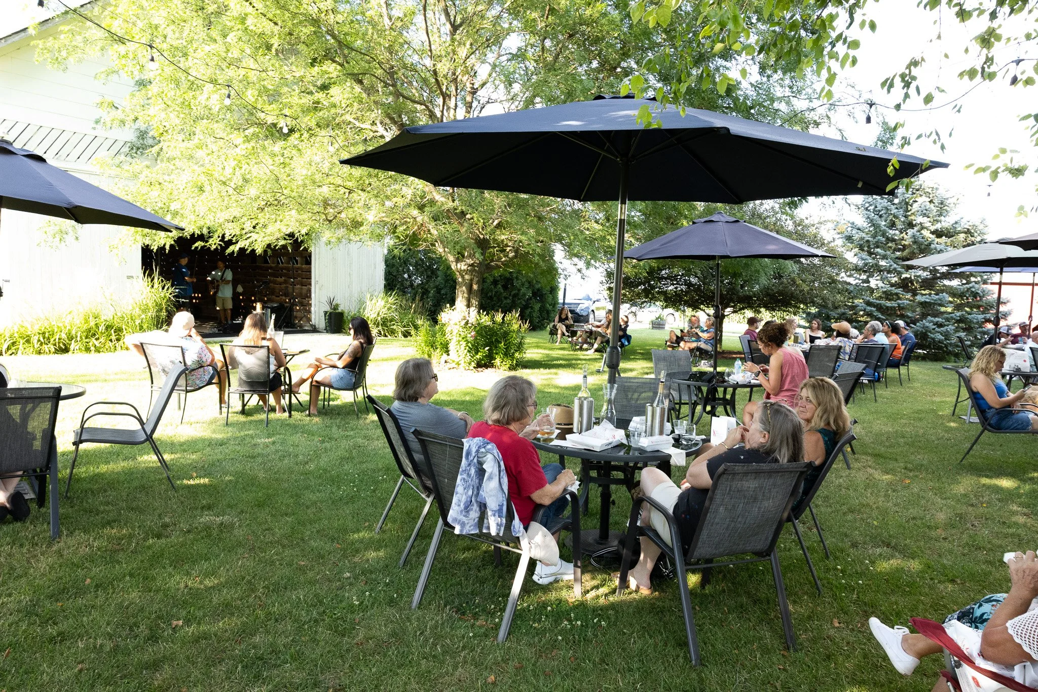 An outdoor gathering with people seated at tables under large black umbrellas on a grassy area, with trees and a wooden fence in the background.