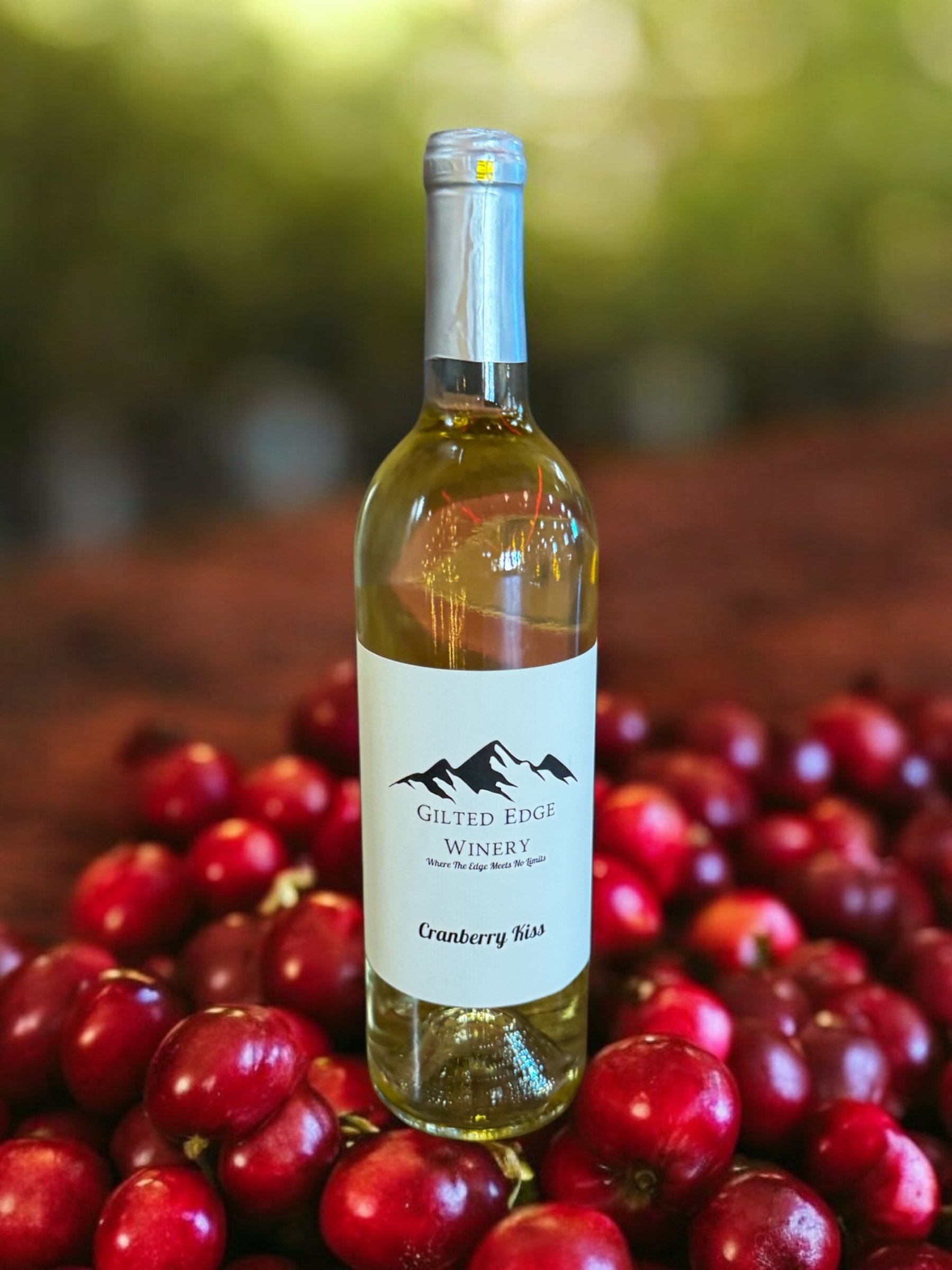 A bottle of Cranberry Kiss wine from Gilded Edge Winery stands among a pile of fresh red cranberries with a blurred background of greenery.