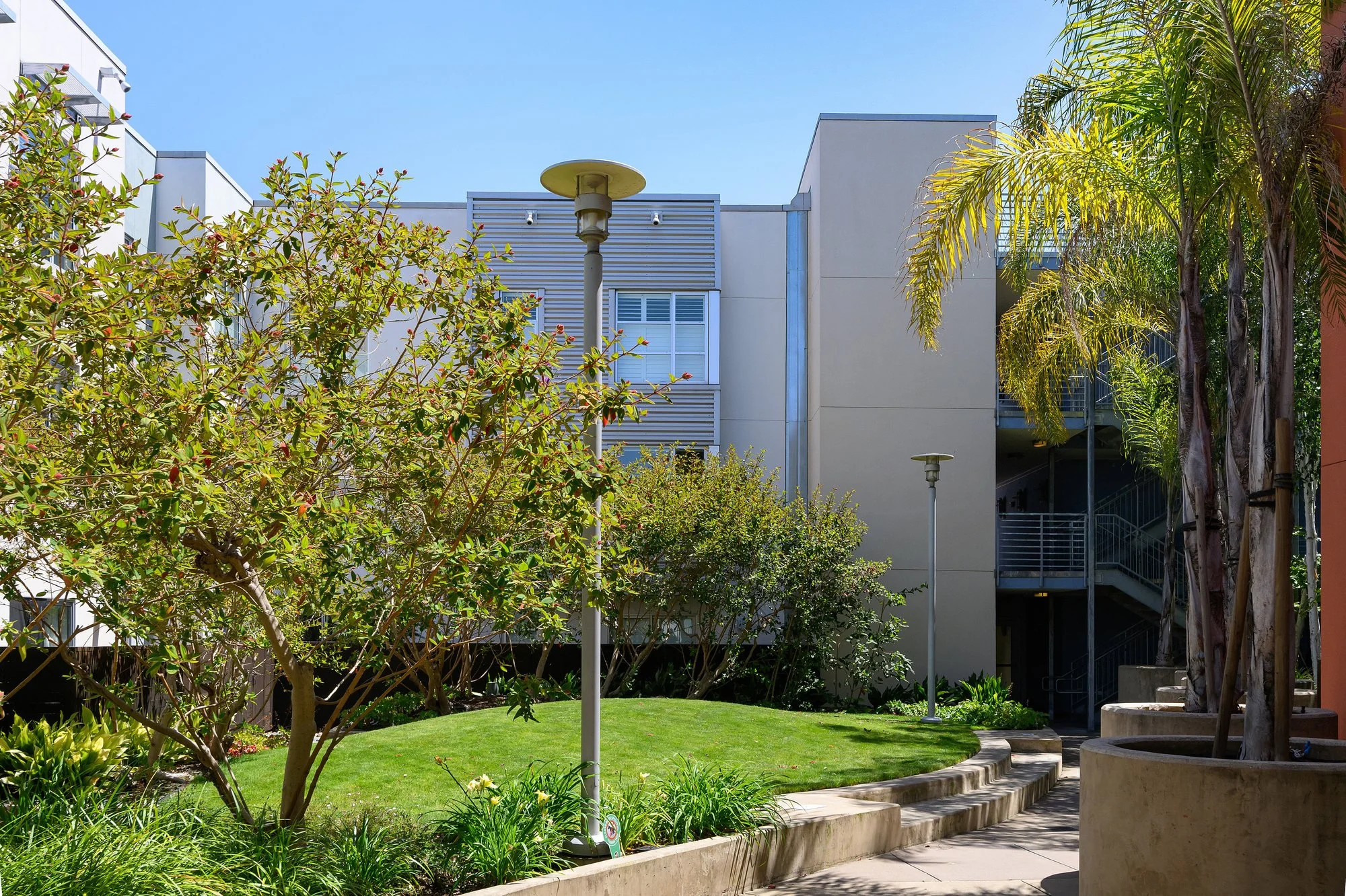 A landscaped outdoor area with green grass, trees, bushes, tall palm trees, and street lamps. In the background, there is a modern building with windows and an external staircase.