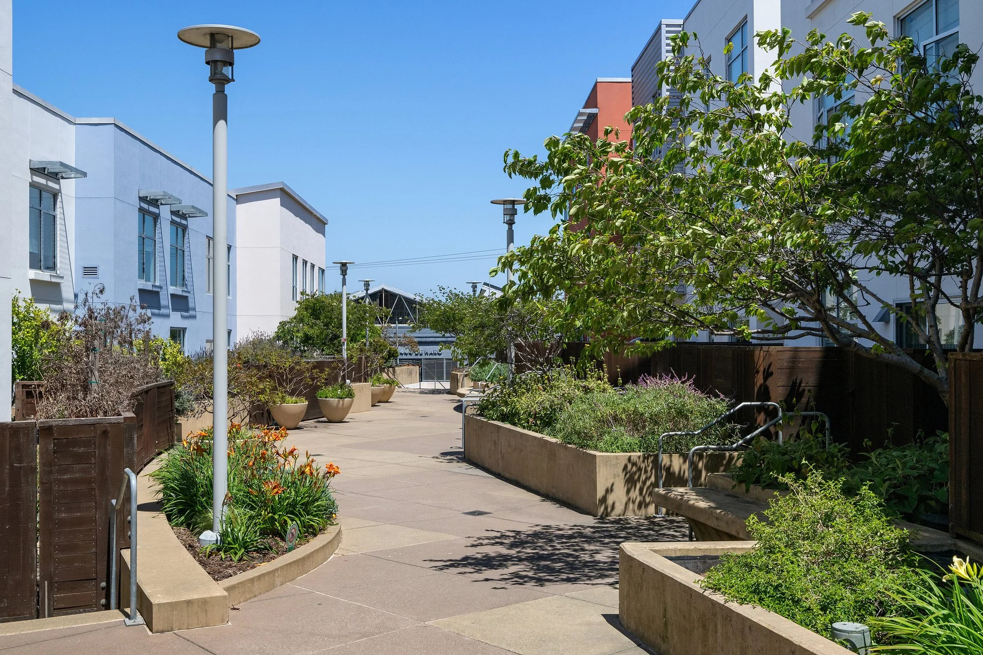A courtyard garden with plants in large pots, surrounded by modern white residential buildings and trees, under a clear blue sky.