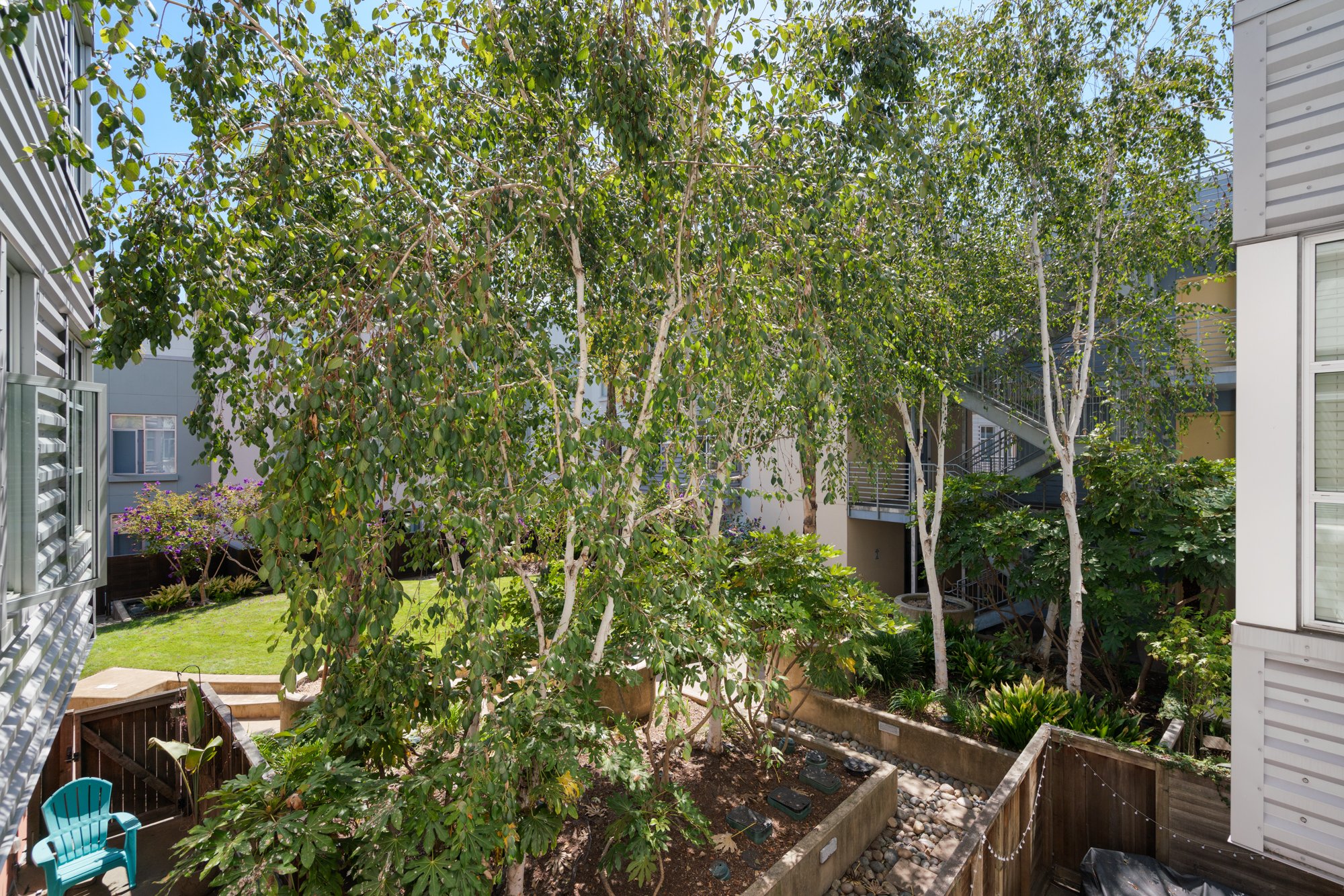 The photo shows a small urban backyard with lush green trees, a grassy area, garden beds, a wooden fence, and some bright blue outdoor chairs. Apartment buildings with windows and fire escapes surround the yard.