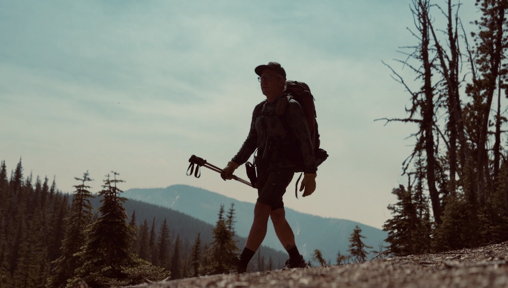 A person hiking in a forested mountainous area during daytime, carrying trekking poles and a backpack, with tall trees and mountain ranges in the background.