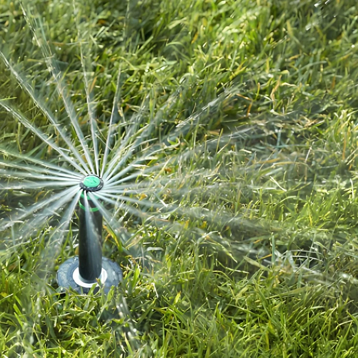 A black and green rotary garden sprinkler spraying water over a lush green grassy lawn.