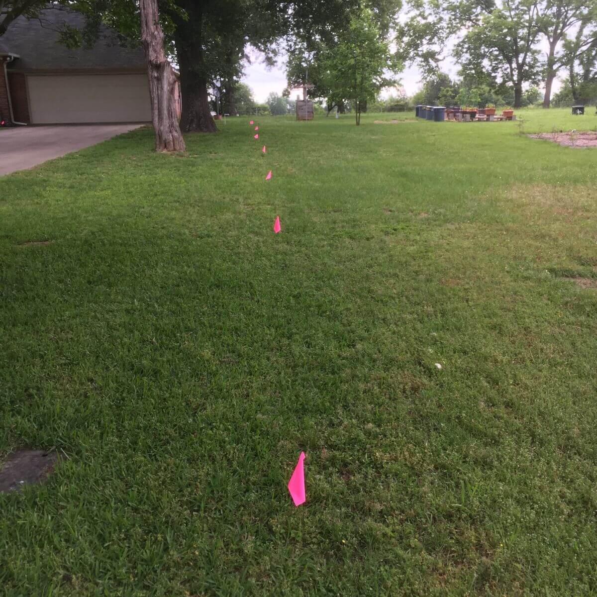 Green lawn with pink flags in a row, trees in the background, and a house with a garage on the left side.