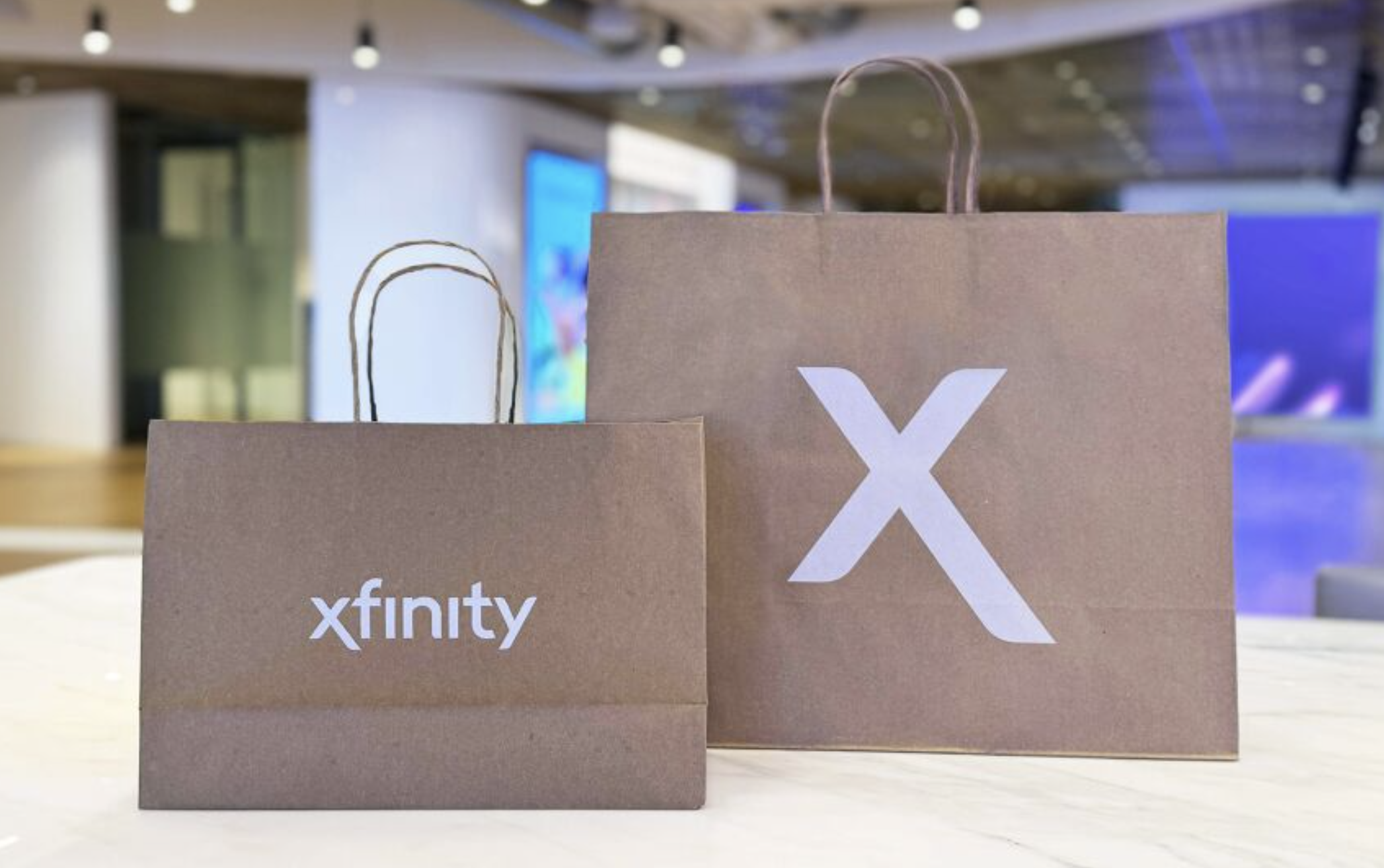 Xfinity Premium Kraft Paper Bags