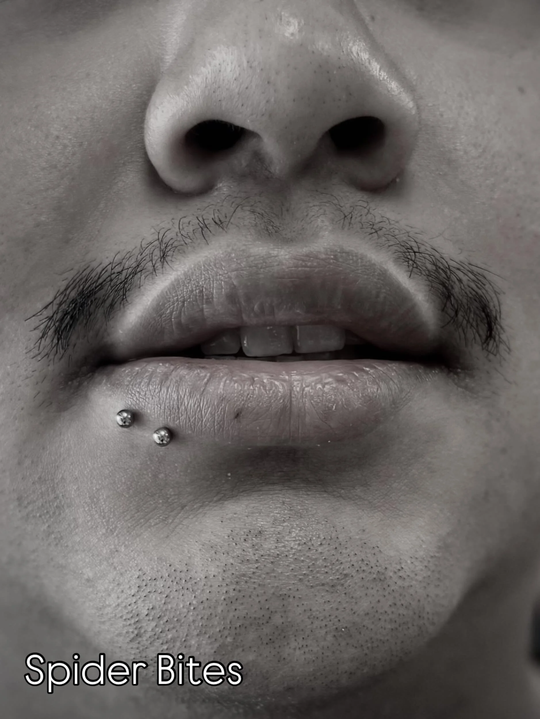 Close-up black and white photograph of a person's nose and mouth. The person has facial hair above the lips and two labret piercings with balls below the lower lip. The bottom of the image contains partially visible text that reads 'Spider Bites'.