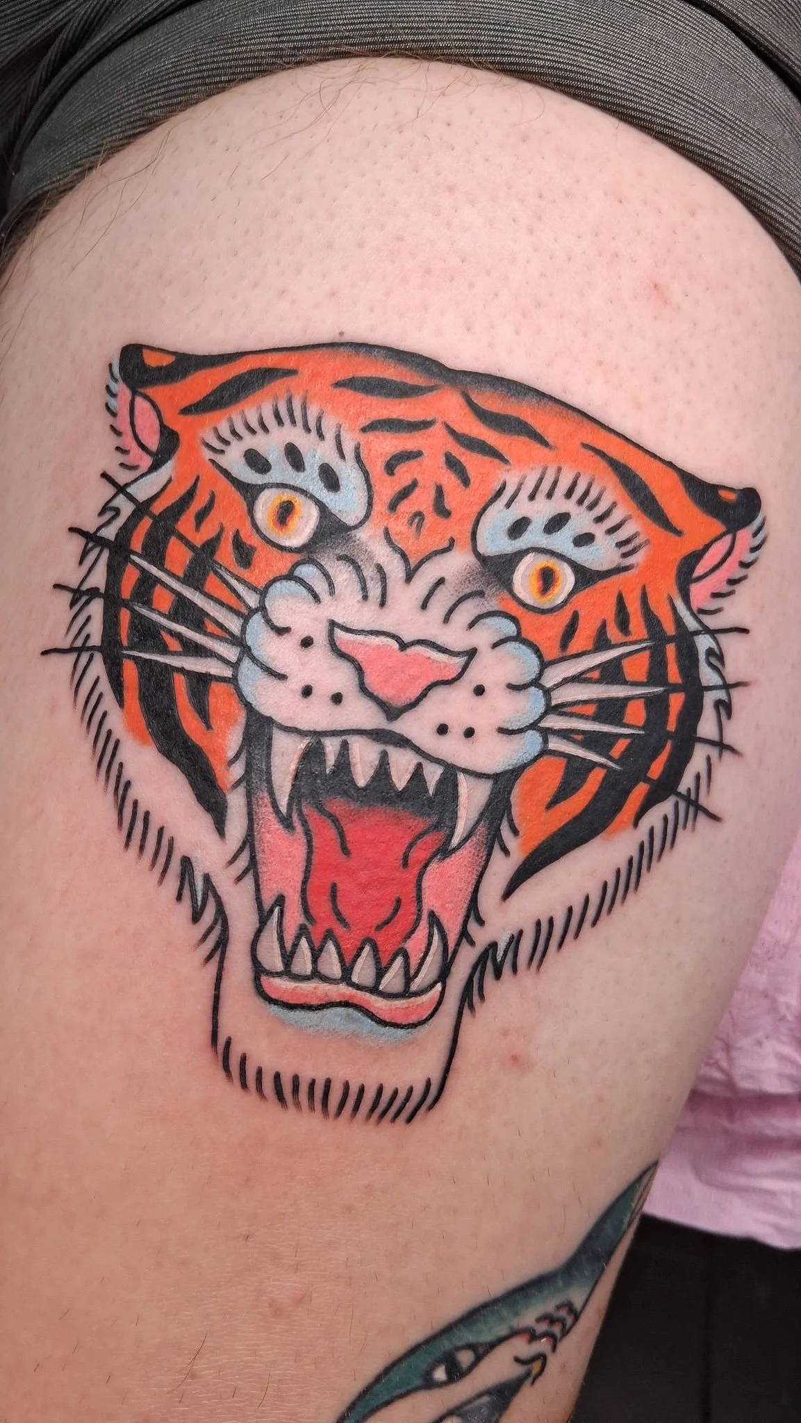 Tattoo of a tiger's head with an open mouth, showing teeth and tongue, on a person's shoulder.