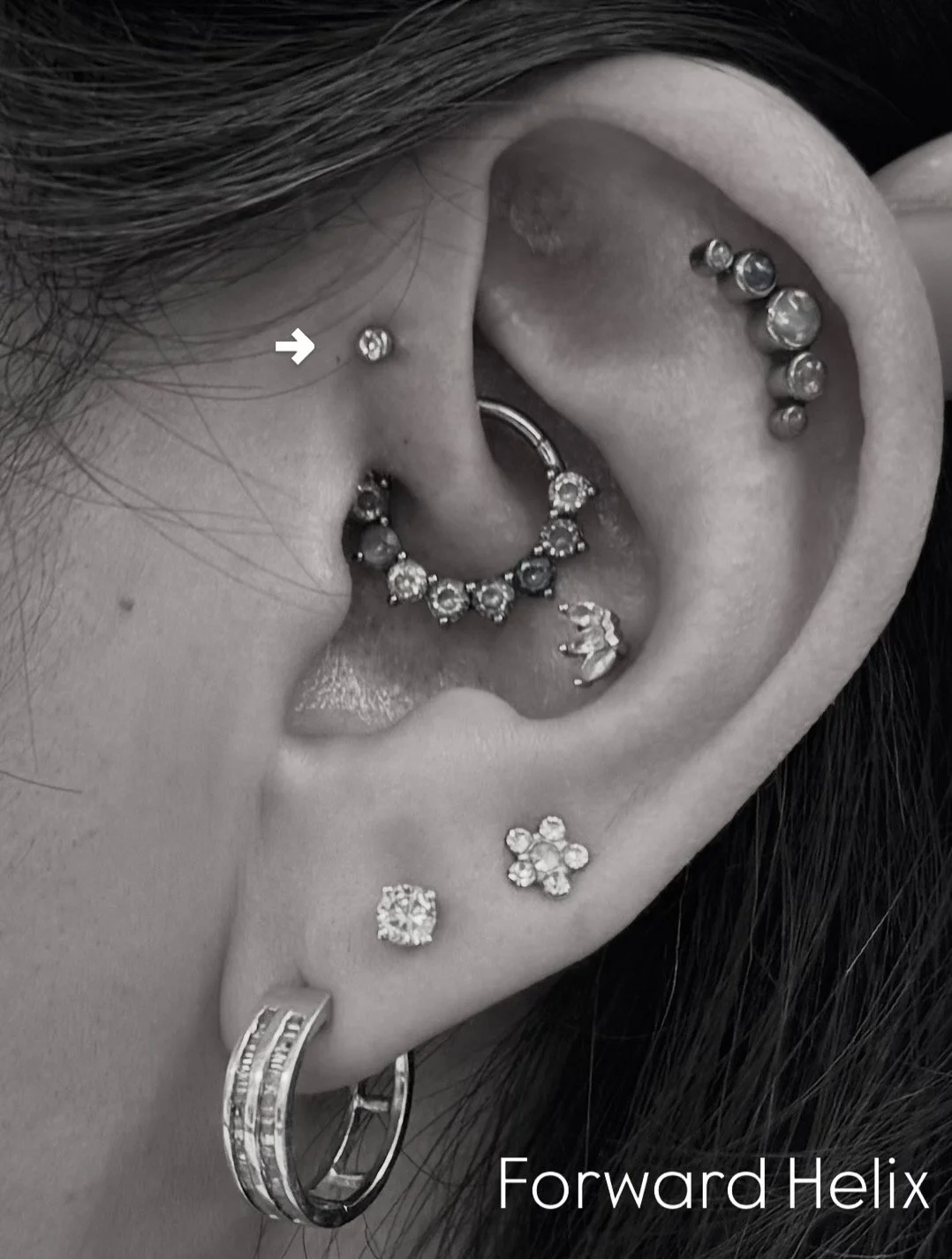 Close-up of a person's ear adorned with multiple earrings, including a helix piercing with a small stud, a conch piercing with a hoop, and several lobe piercings with various earrings, including a flower-shaped earring, a diamond-like stud, and a collar-like hoop. The image is in black and white.