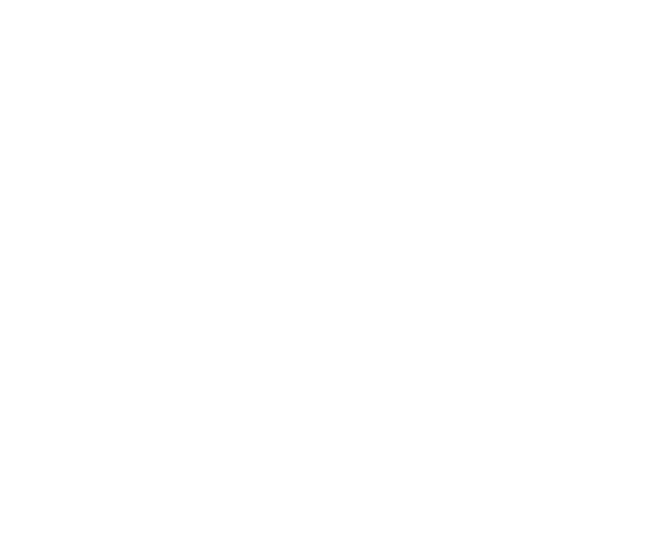 Black Point Logo