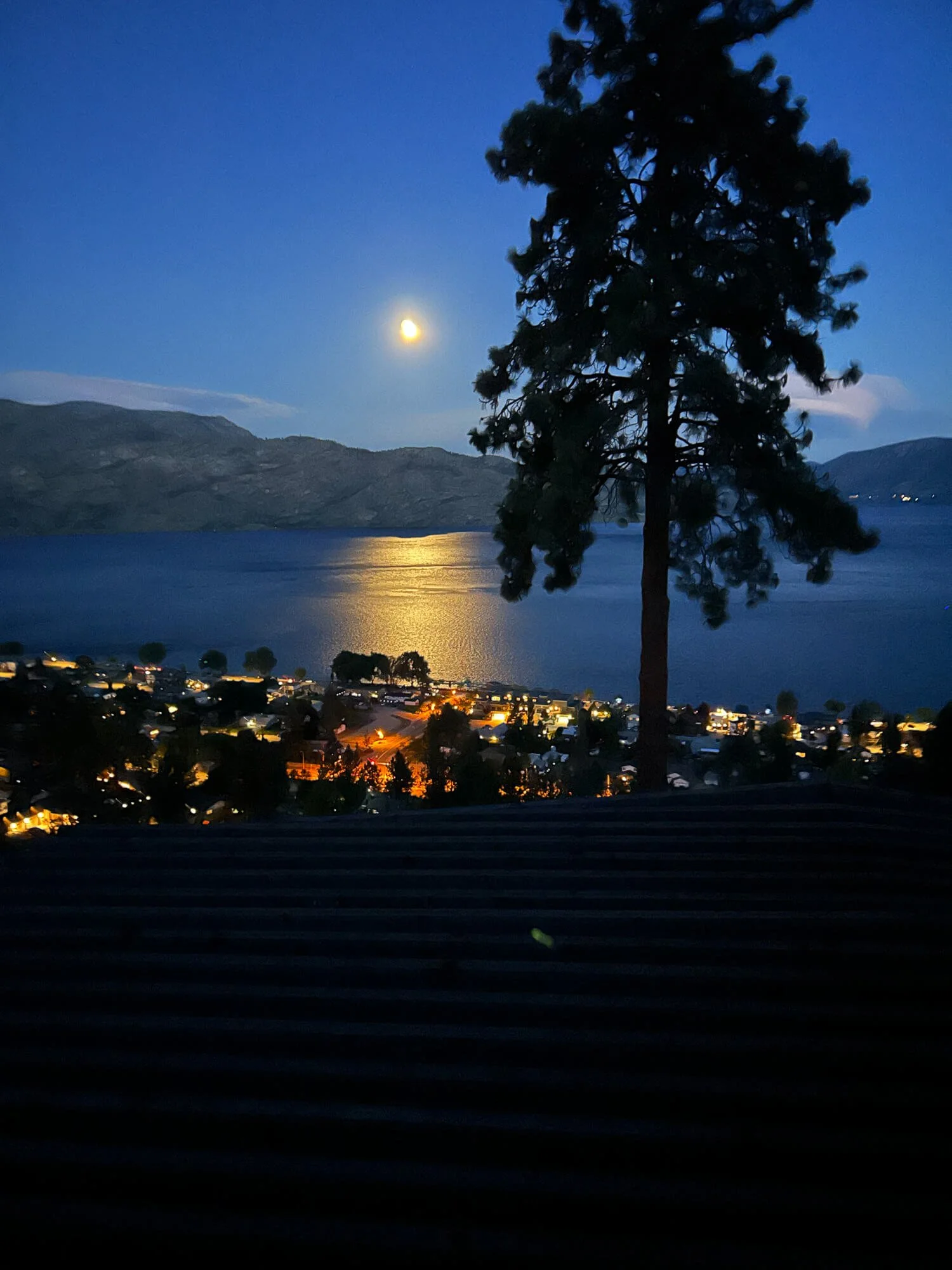Nighttime scene with a full moon, a body of water reflecting the moonlight, mountains in the background, and a silhouette of a tall tree in the foreground. Lights from a small town or neighborhood are visible at the bottom of the image.