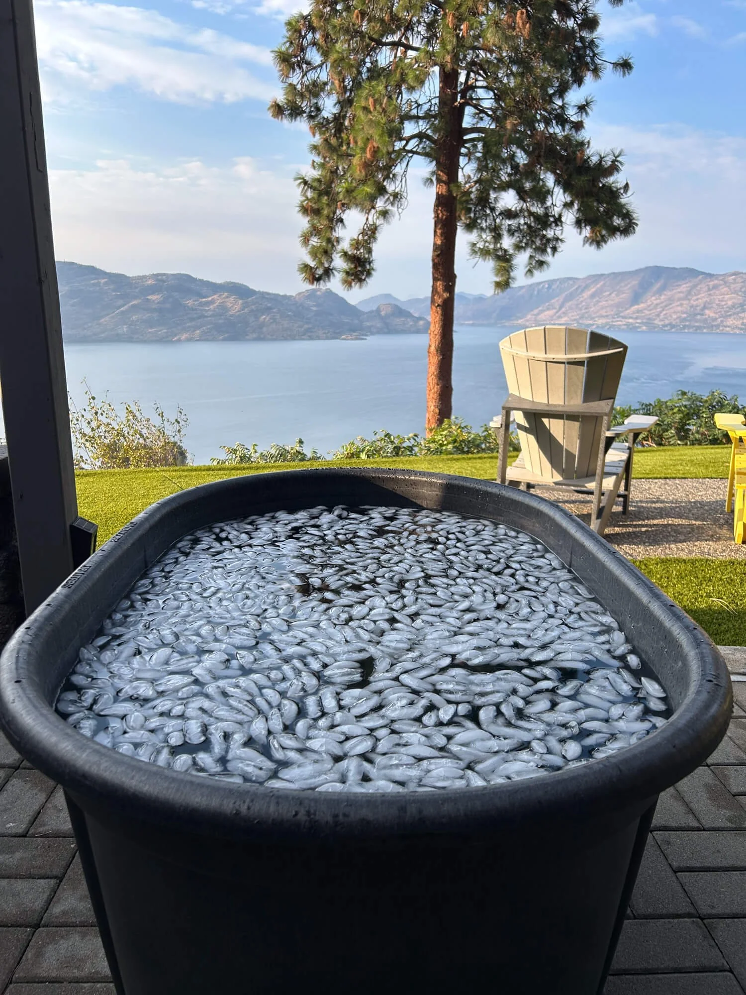 Large black tub filled with small fish, set outdoors on a patio with mountains, lake, and a tree in the background.