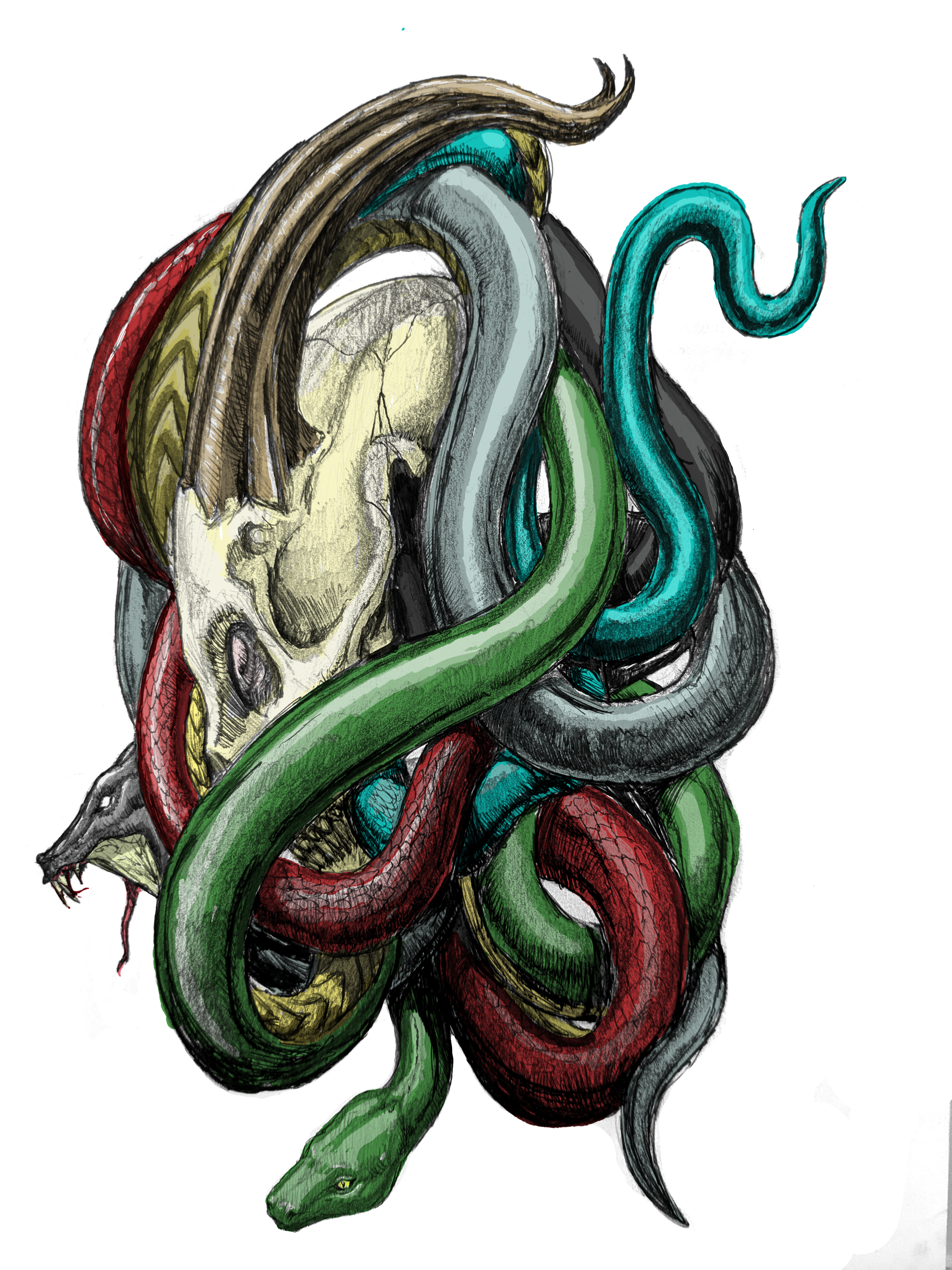 Untitled65.png