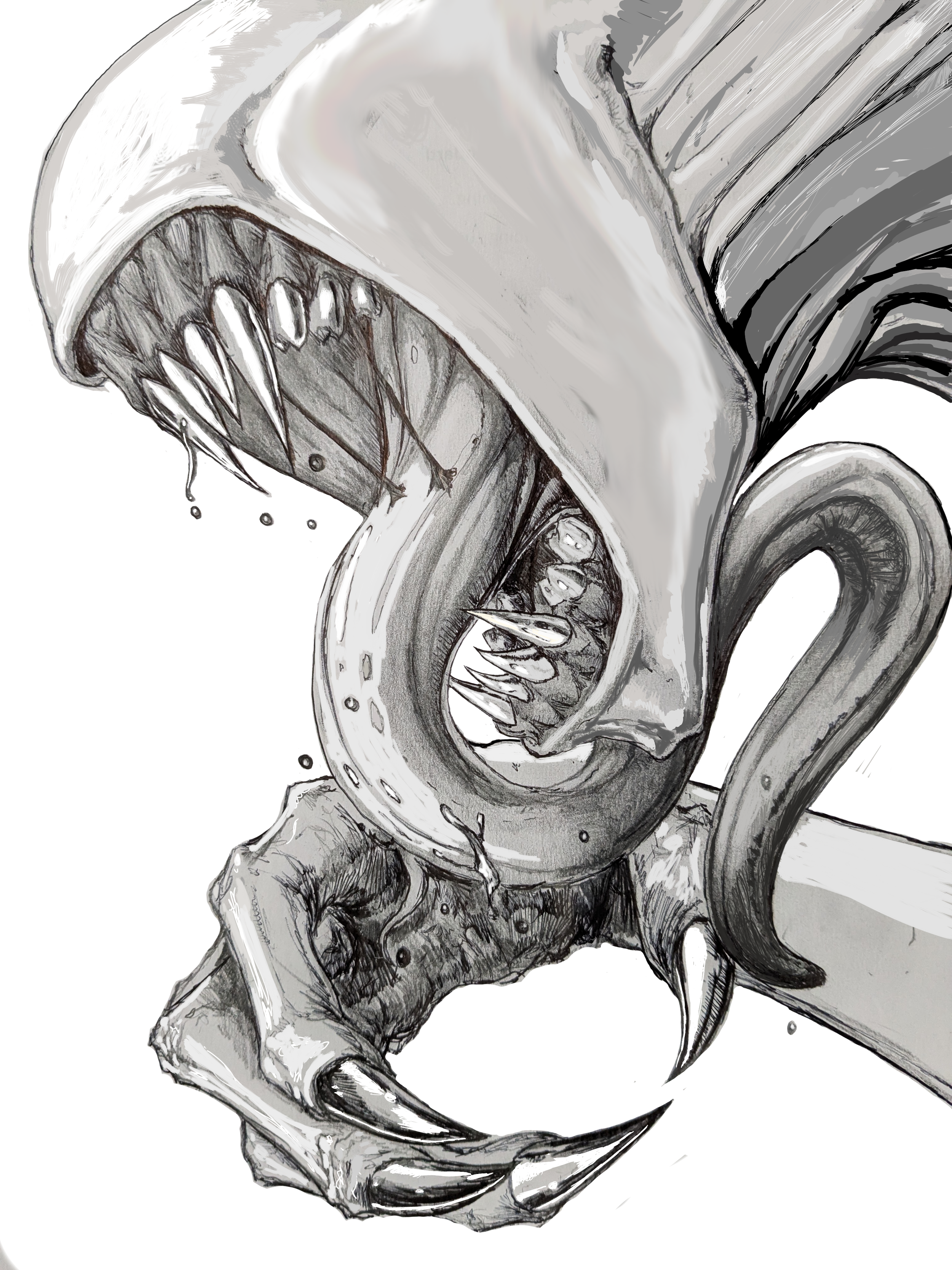 Untitled47.png