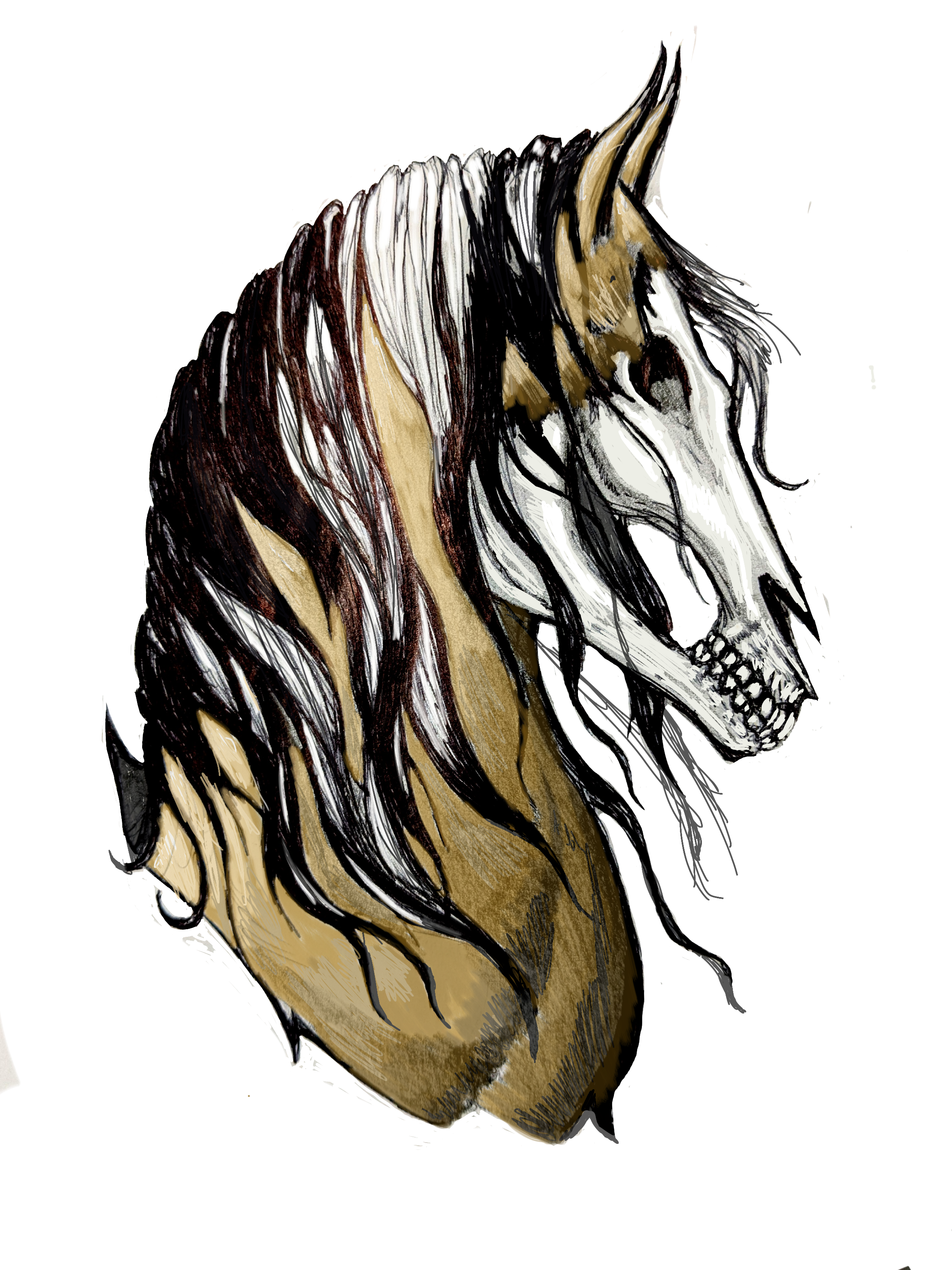 Untitled41.png