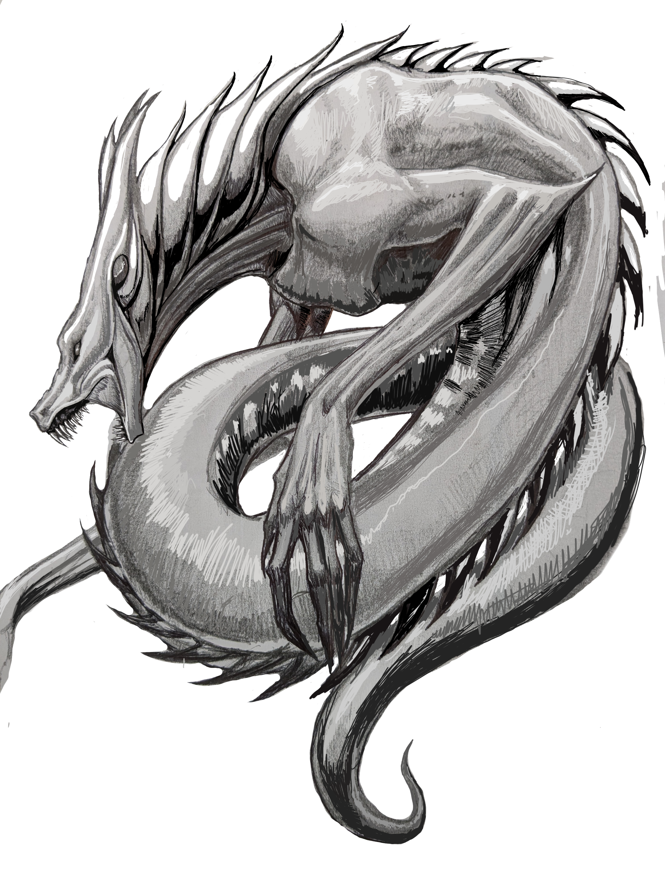 Untitled33_Restored.png