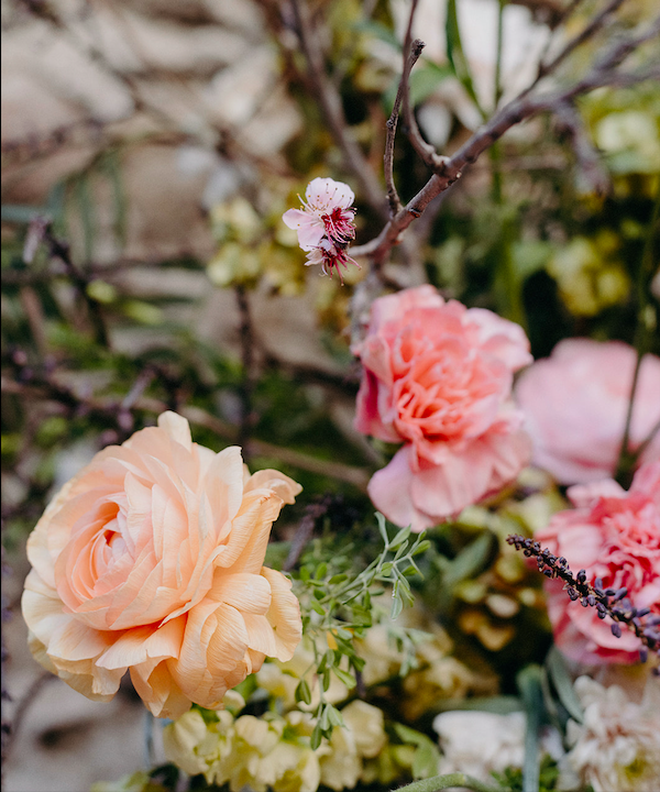 Close-up of a delicate floral arrangement featuring a prominent peach ranunculus, soft pink carnations, and fine rustic branches with a tiny blooming pink cherry blossom flower.