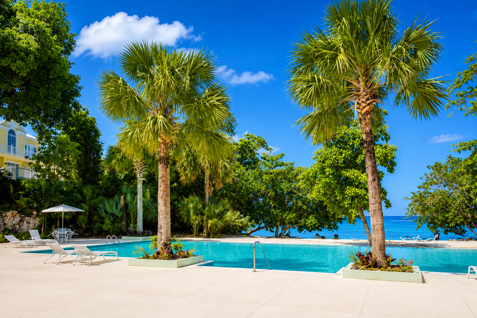 Pool_Palm Tree.PNG