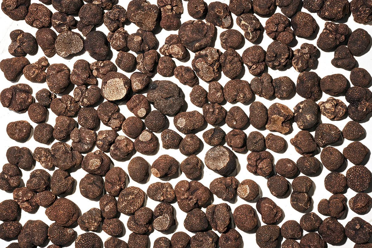 Black-Truffle-158-michael-rudin.jpg