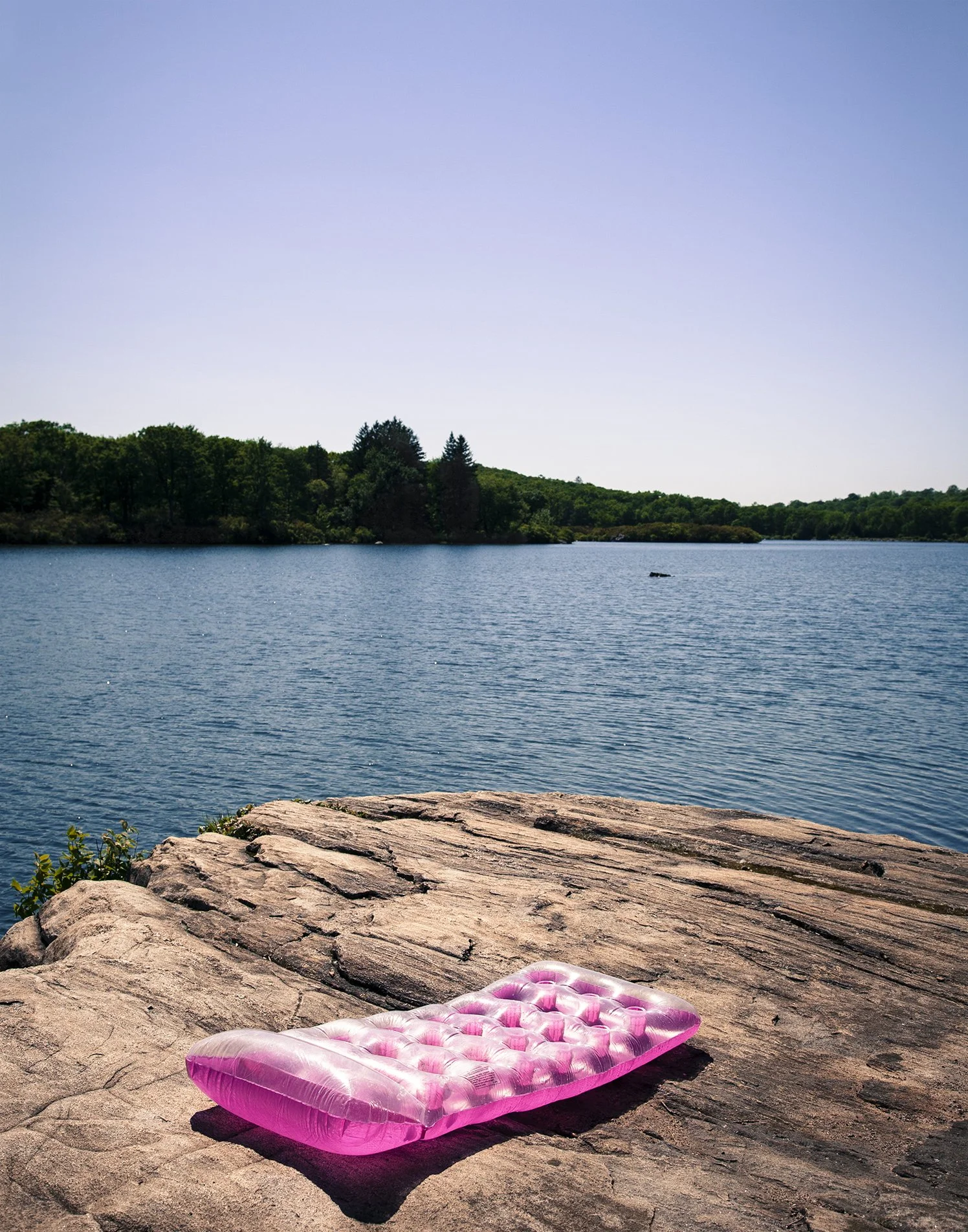 Pine-Meadow-Lake-NY-michael-rudin.jpeg