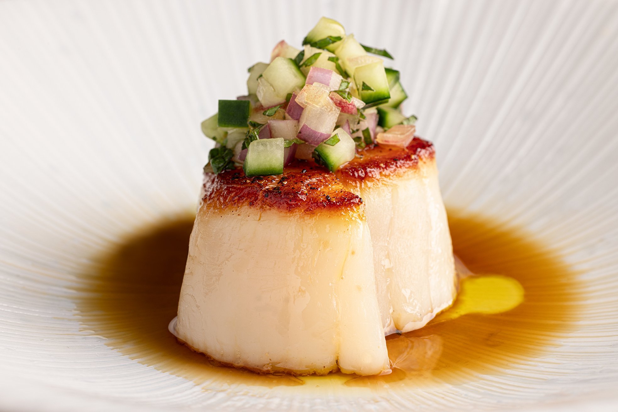 Scallop-michael-rudin.jpg