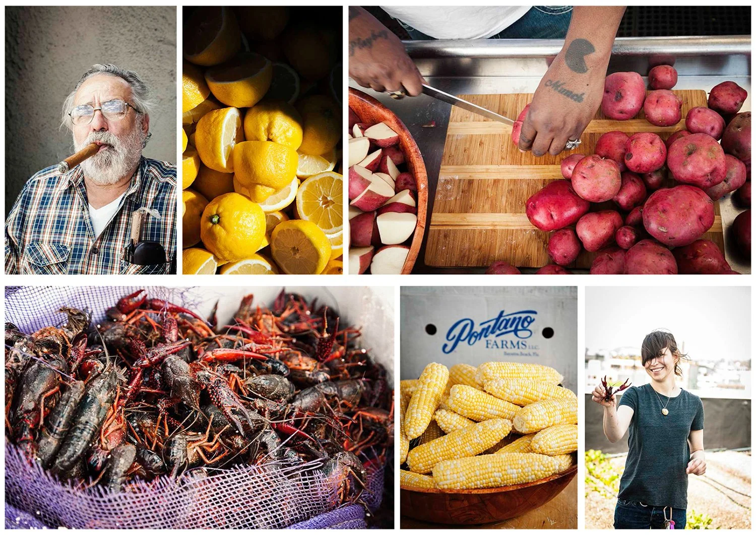 Michael-Rudin--Crawfish-2.jpg