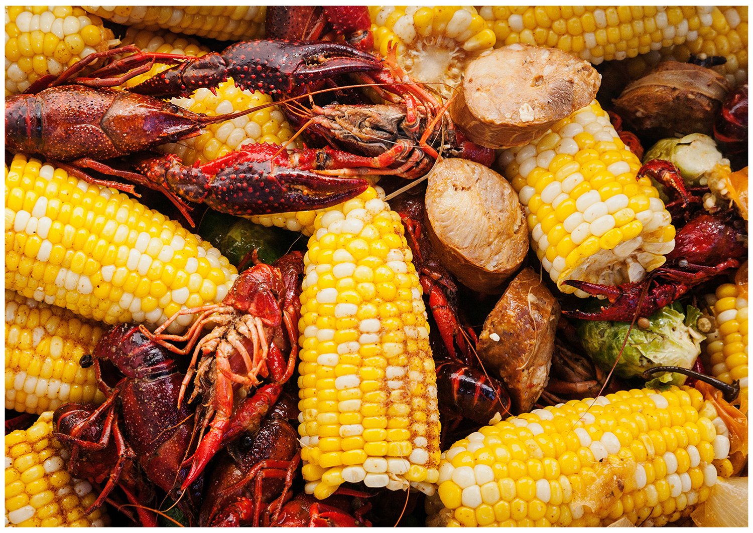 Michael-Rudin--Crawfish-4.jpg