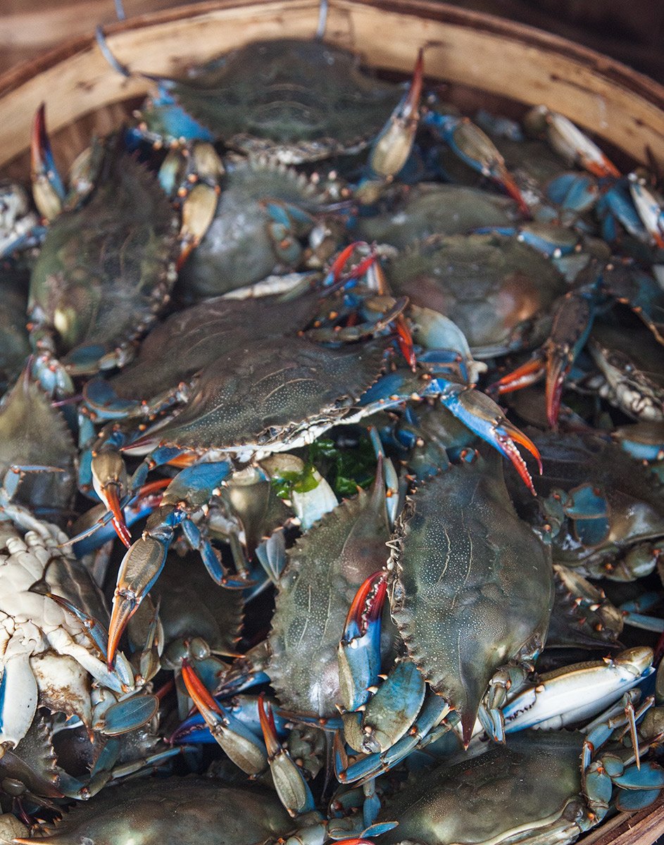Michael-Rudin--EQ-Crab.jpg