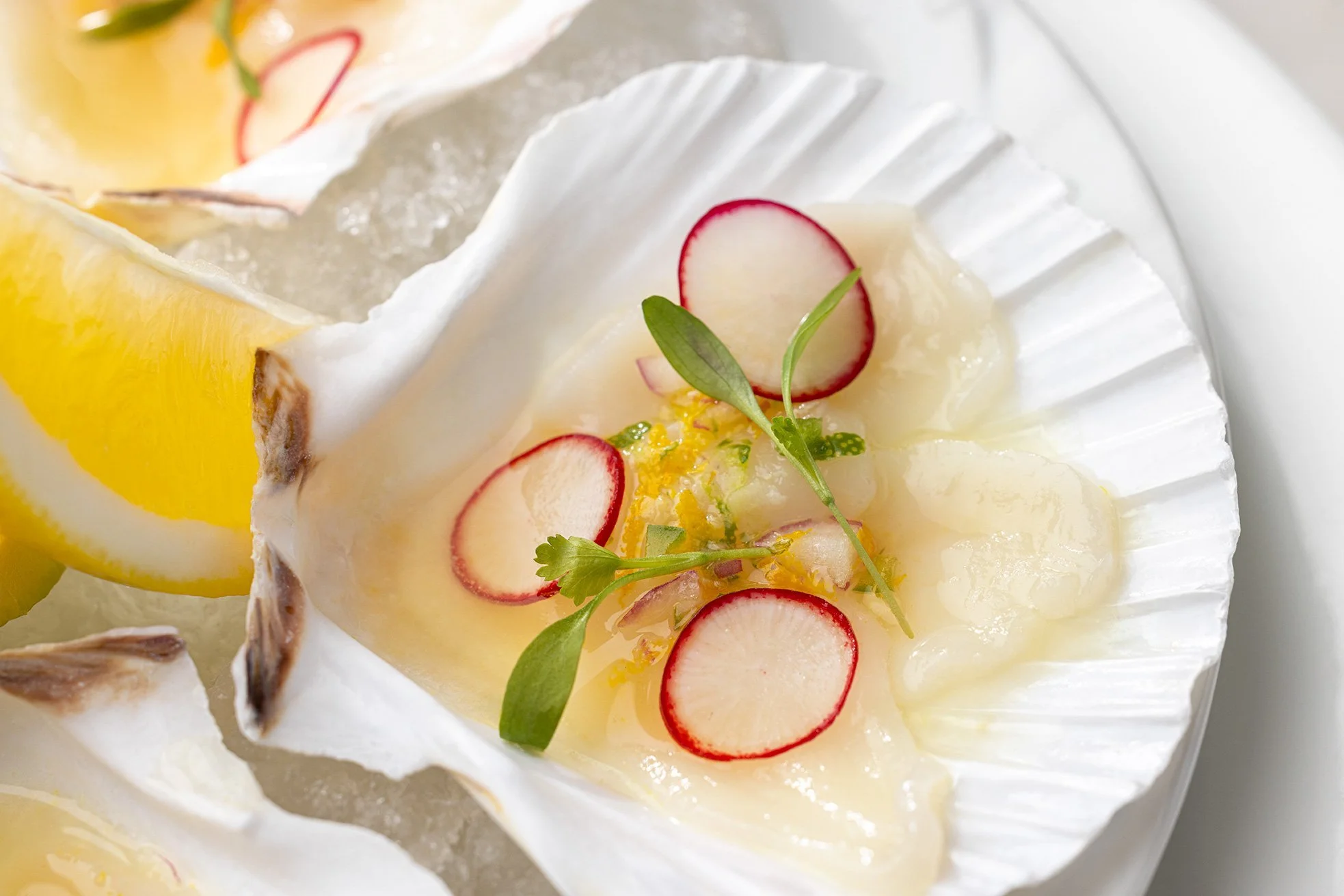 SCALLOP-CRUDO-michael-rudin-629.jpg