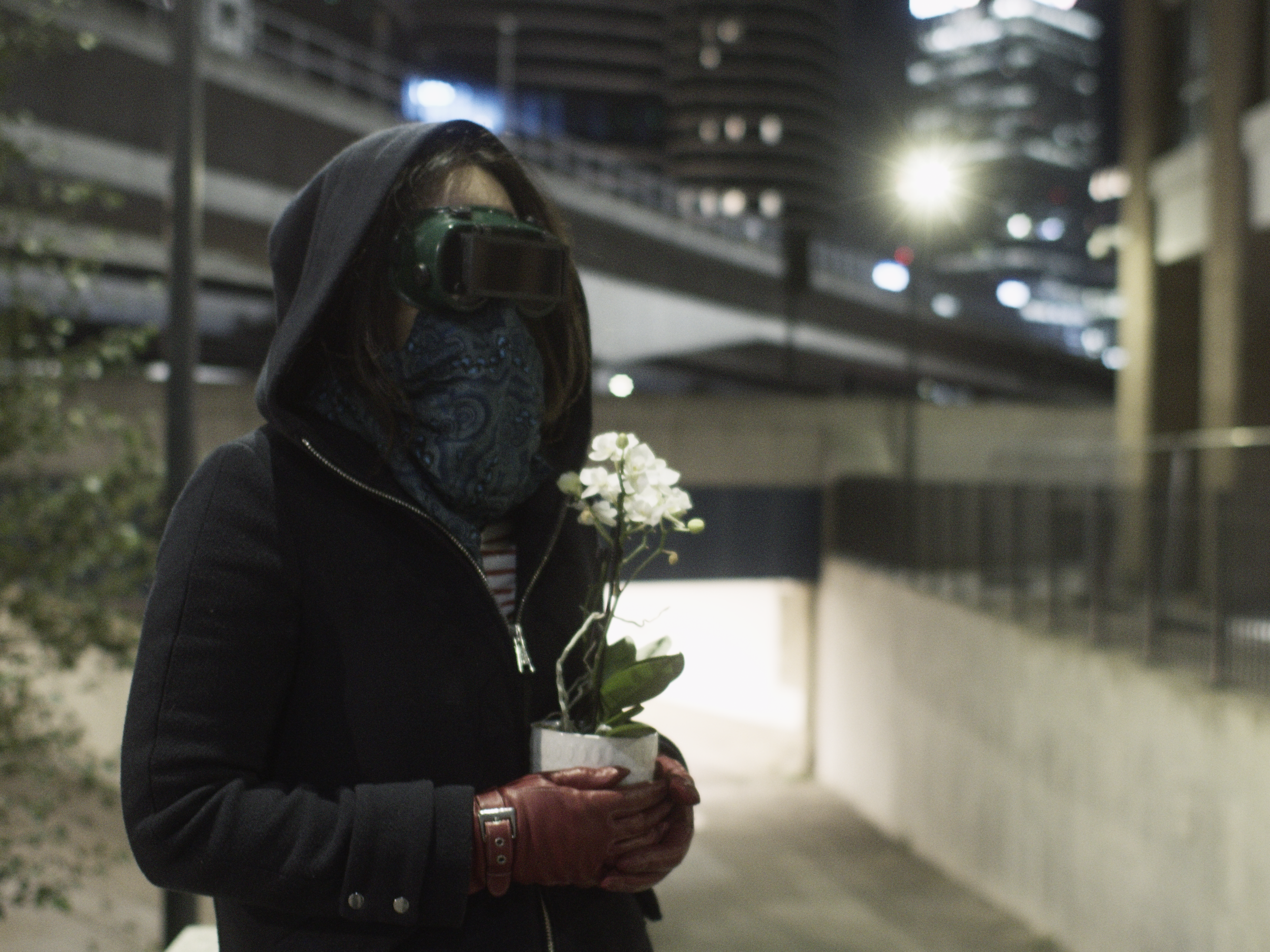 STILL_02.png