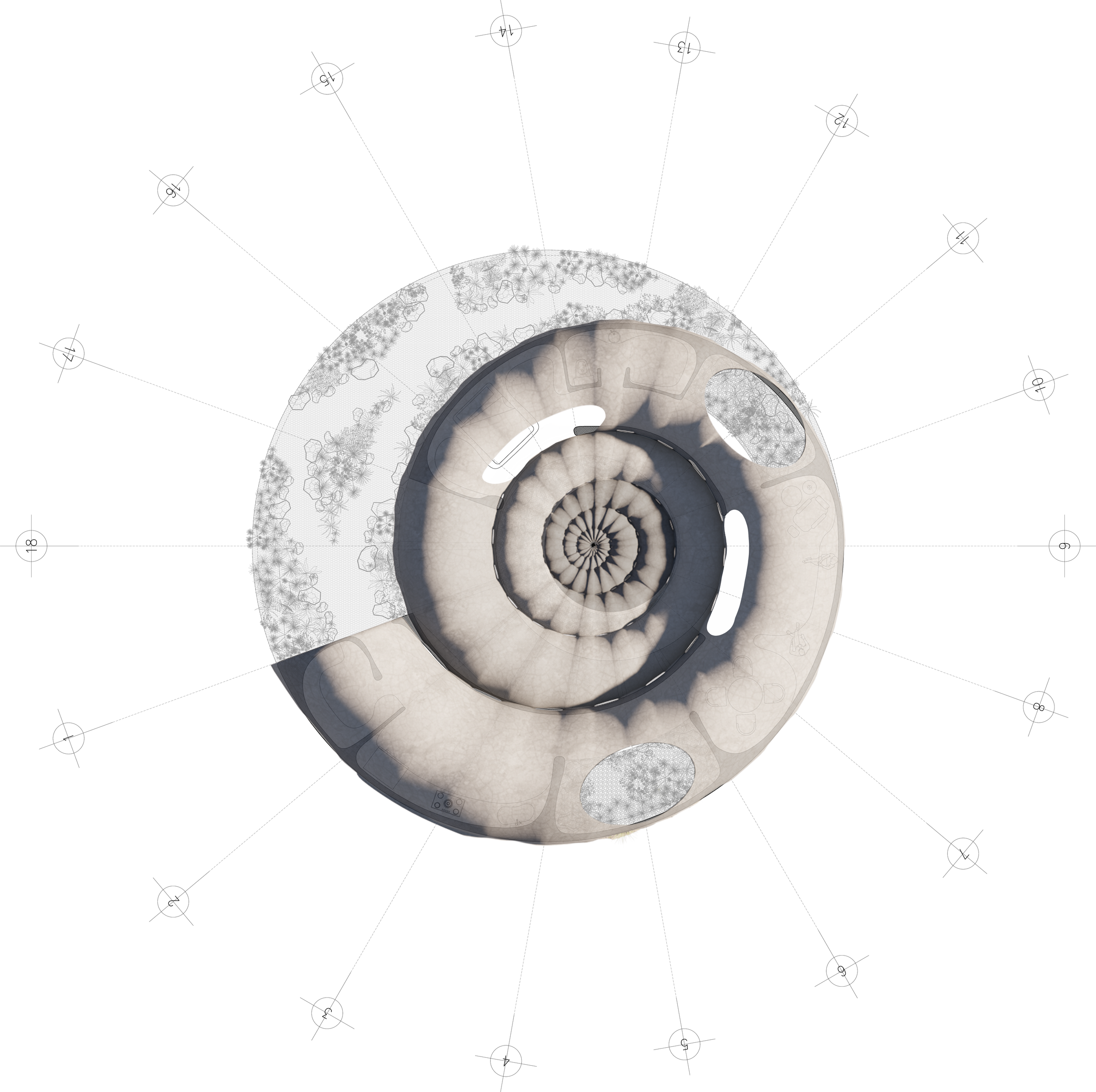 CARACOL_2.png