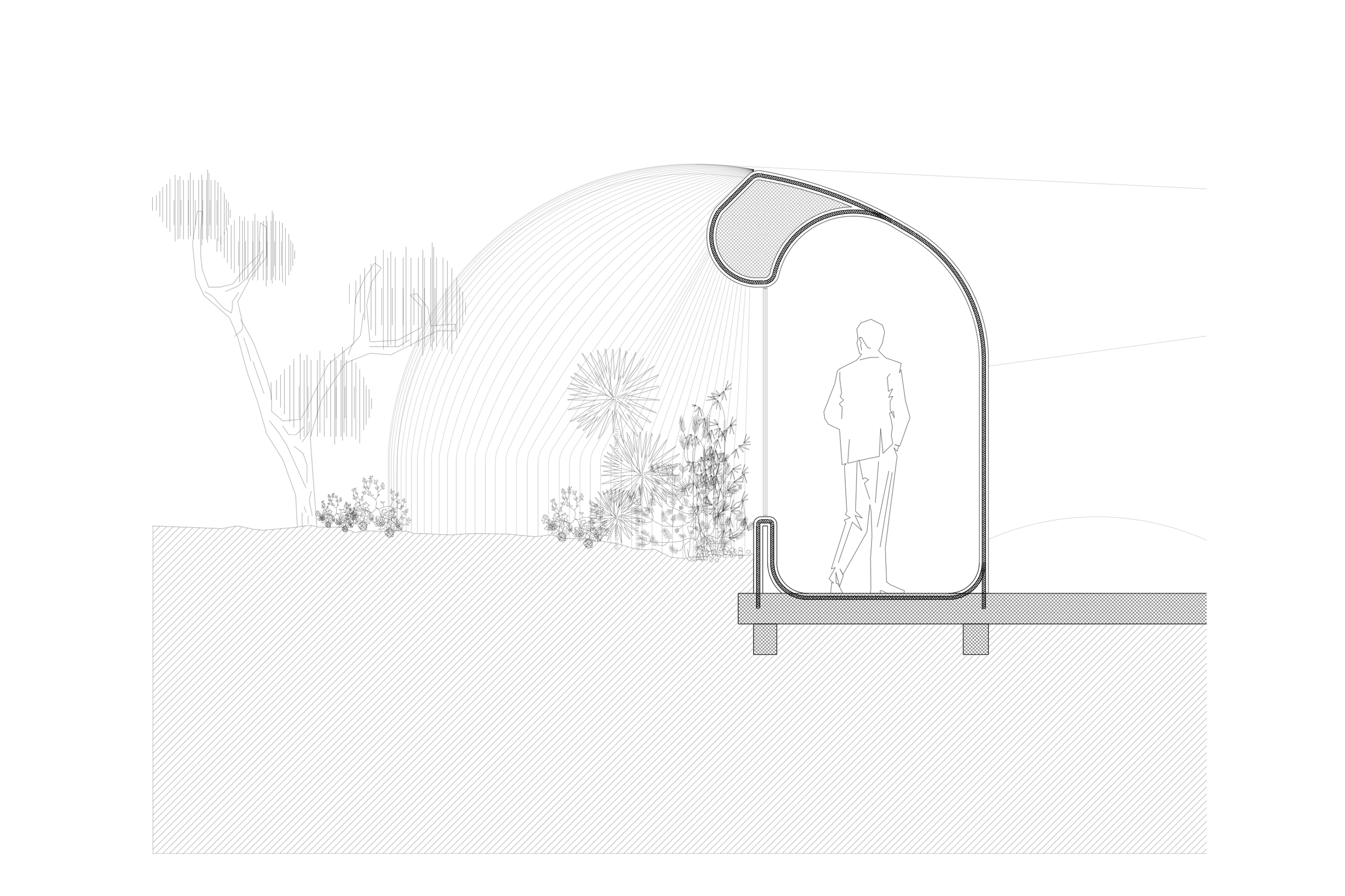 IMG-3684.PNG