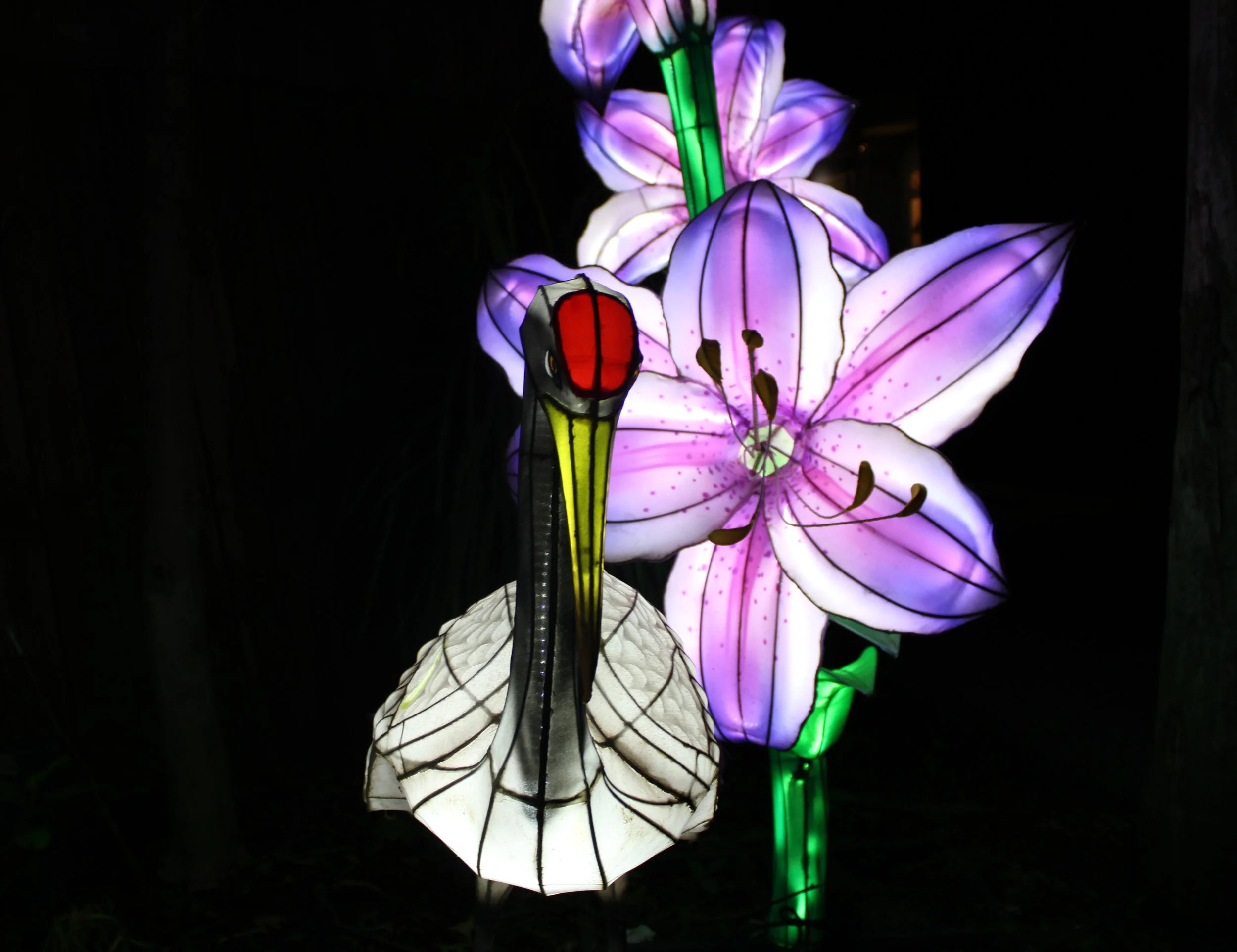 Colorful illuminated lanterns shaped like flowers at night, with purple, white, red, and green colors against a dark background.